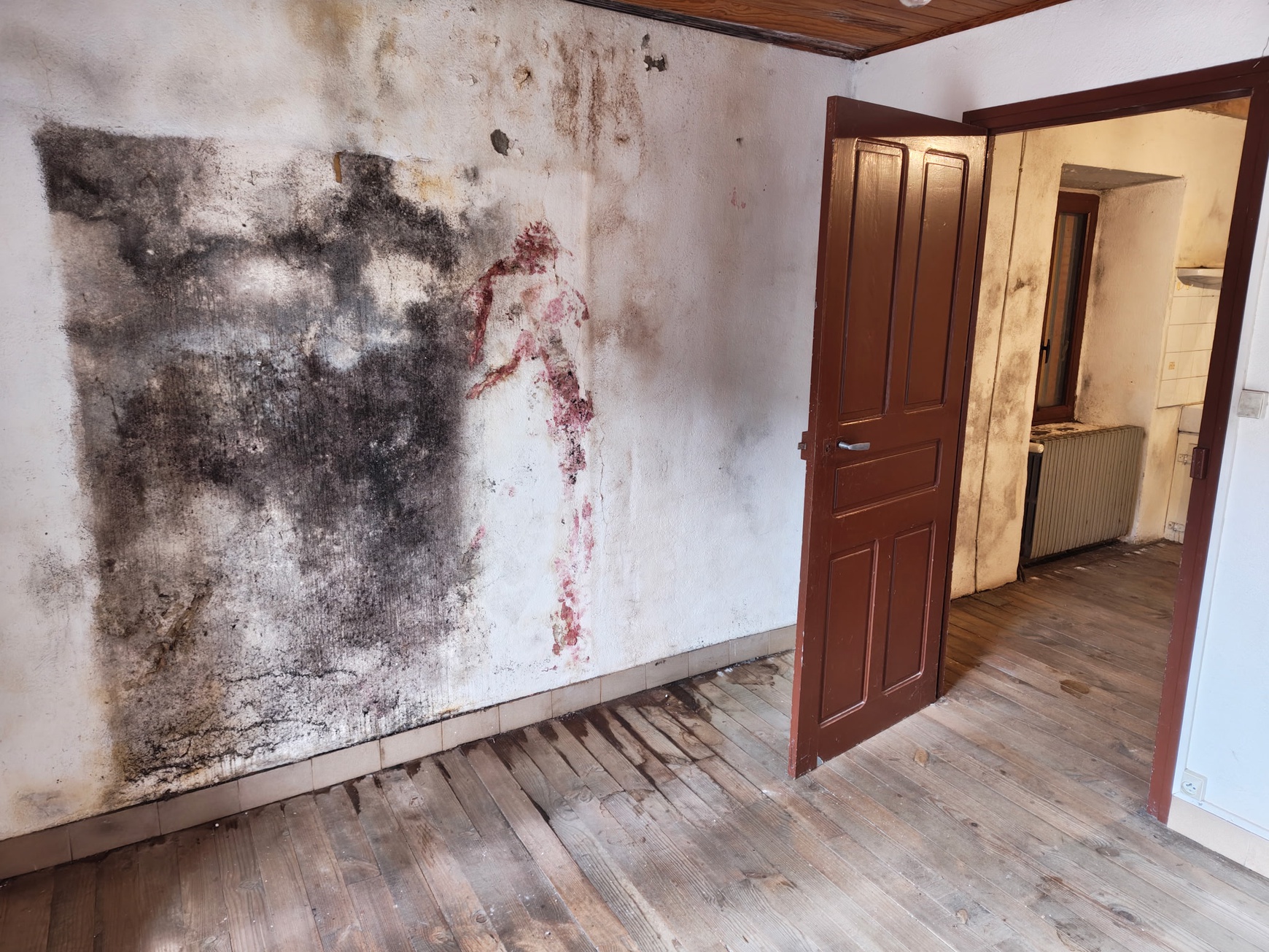 Achat immobilier Maison 6 pièces  128m2 à Cros-de-Géorand (07630) - Photo n°4