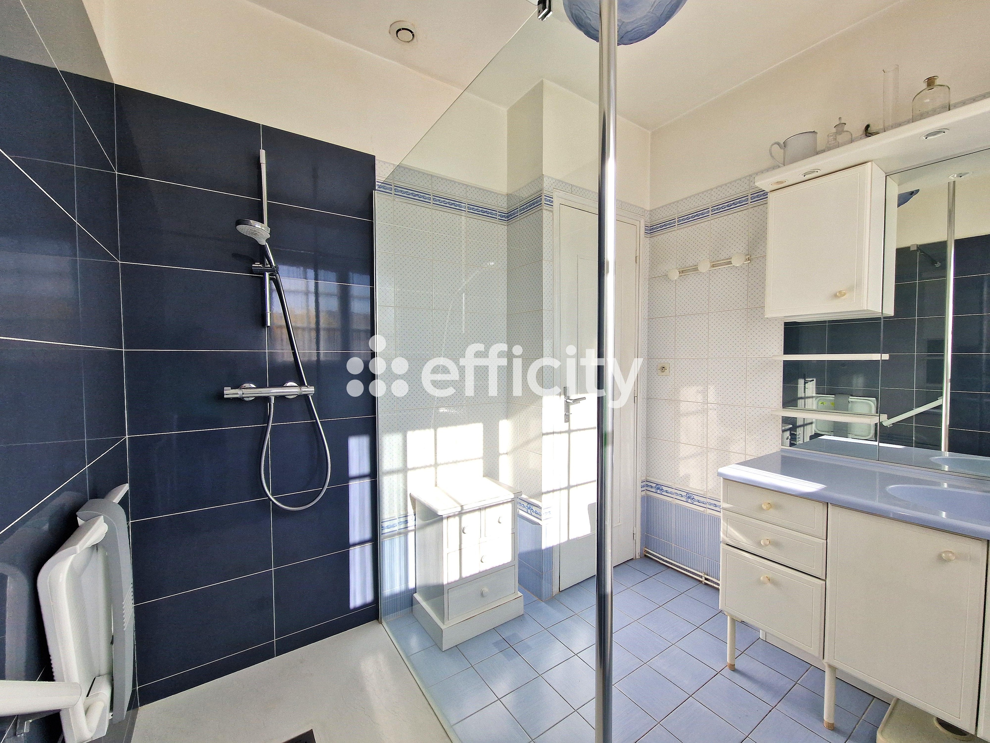 Achat immobilier Maison 4 pièces  125m2 à Vaux-sur-Mer (17640) - Photo n°18