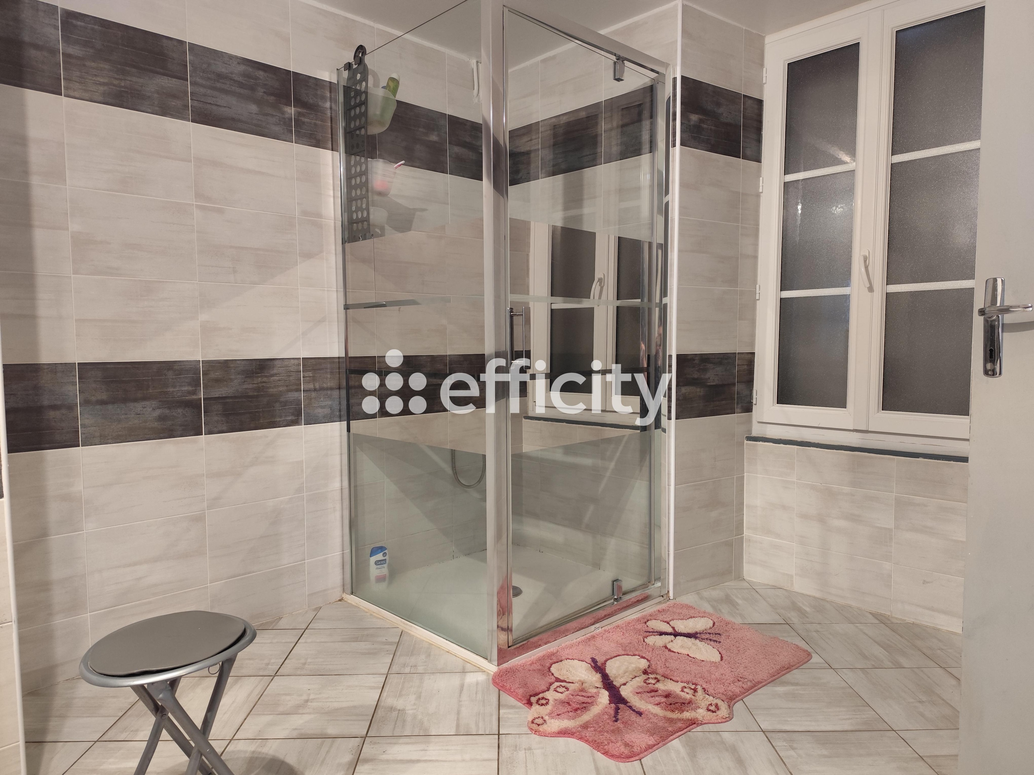 Achat immobilier Maison 6 pièces  208m2 à Tanzac (17260) - Photo n°11