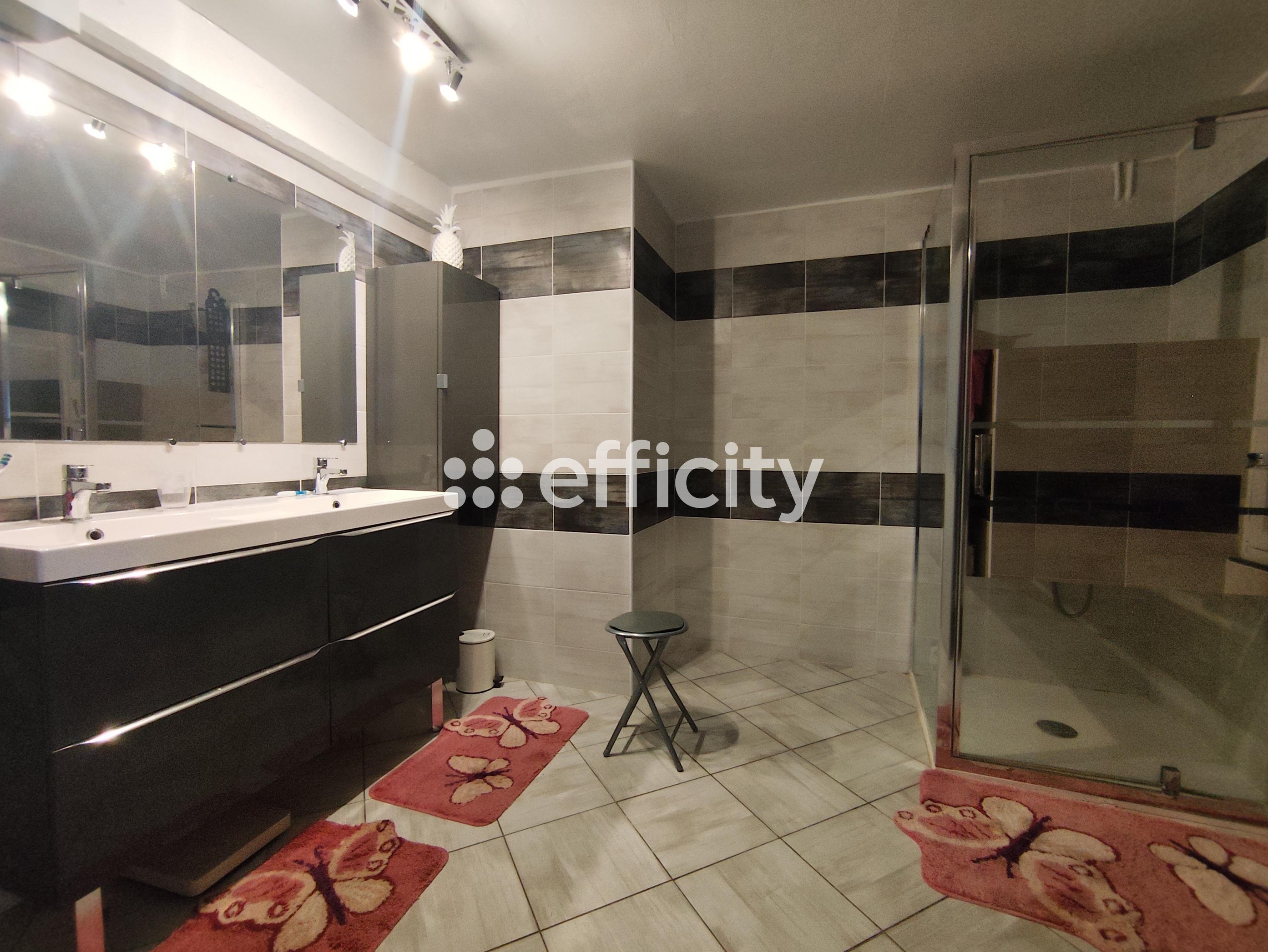 Achat immobilier Maison 6 pièces  208m2 à Tanzac (17260) - Photo n°12