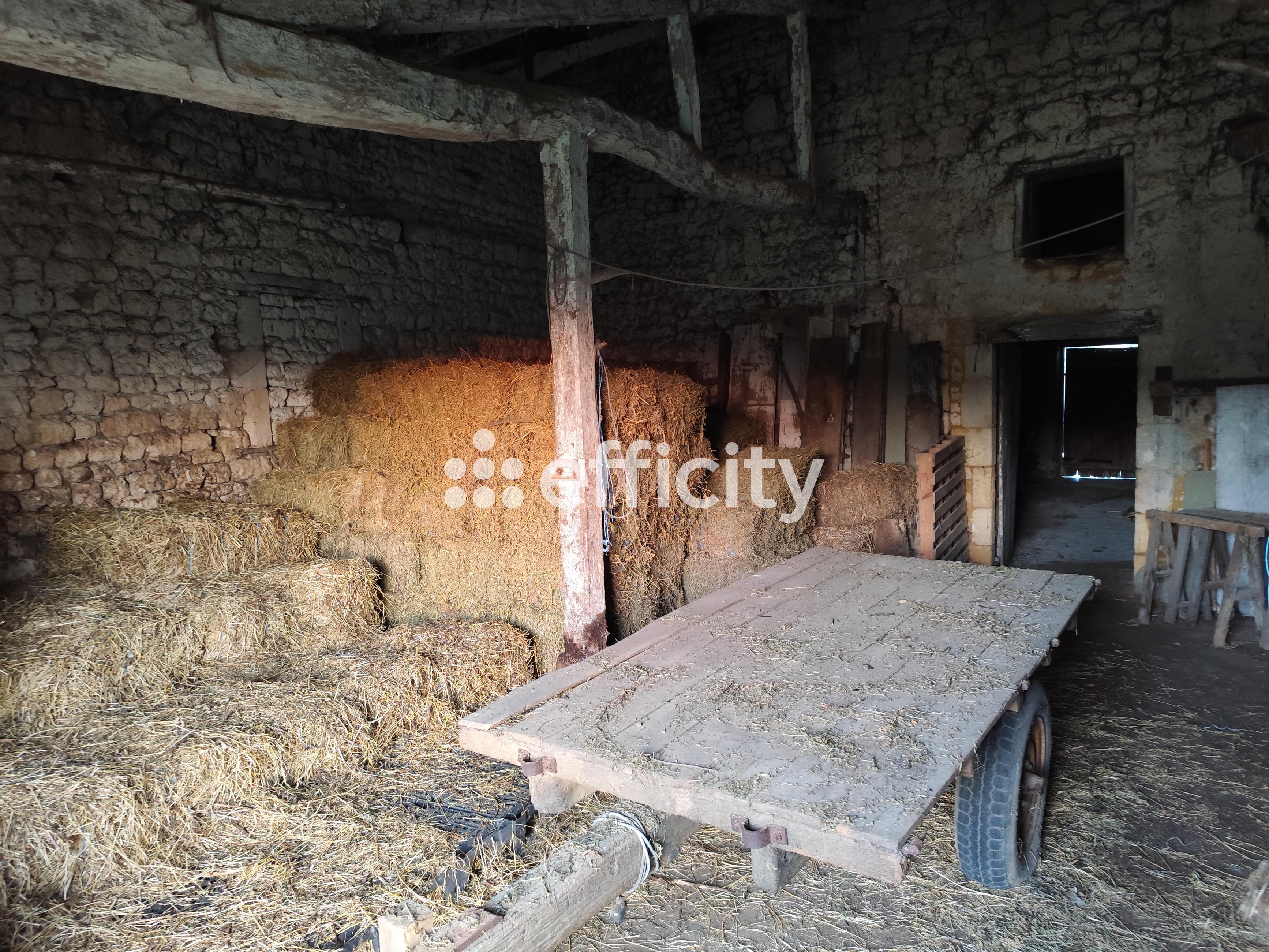 Achat immobilier Maison 6 pièces  208m2 à Tanzac (17260) - Photo n°18