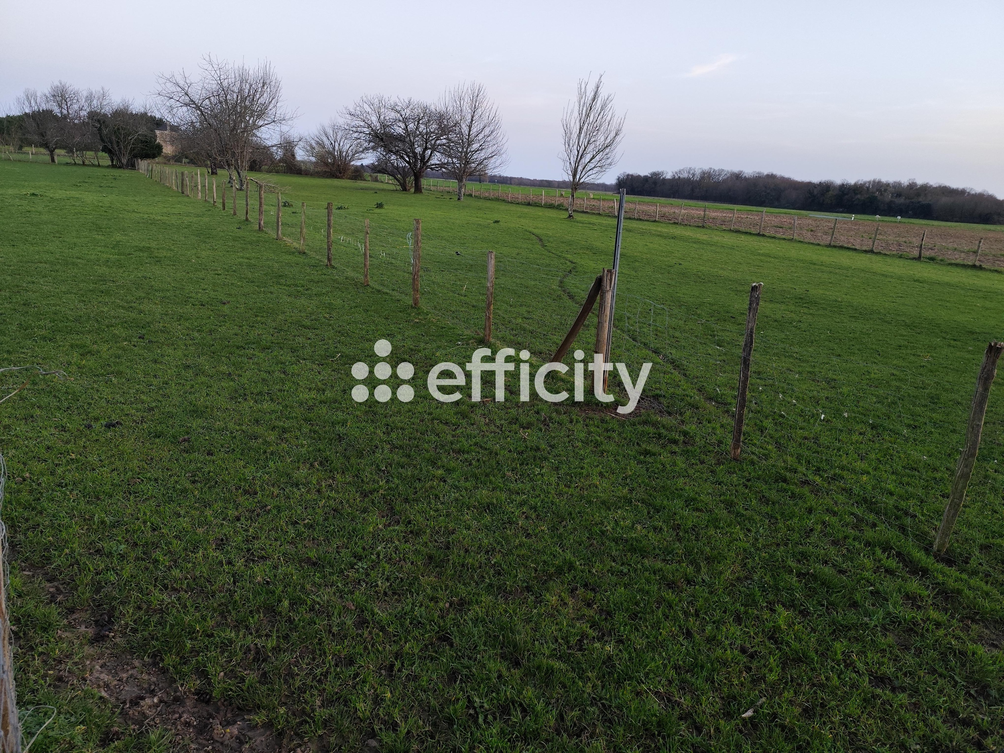 Achat immobilier Maison 6 pièces  208m2 à Tanzac (17260) - Photo n°17