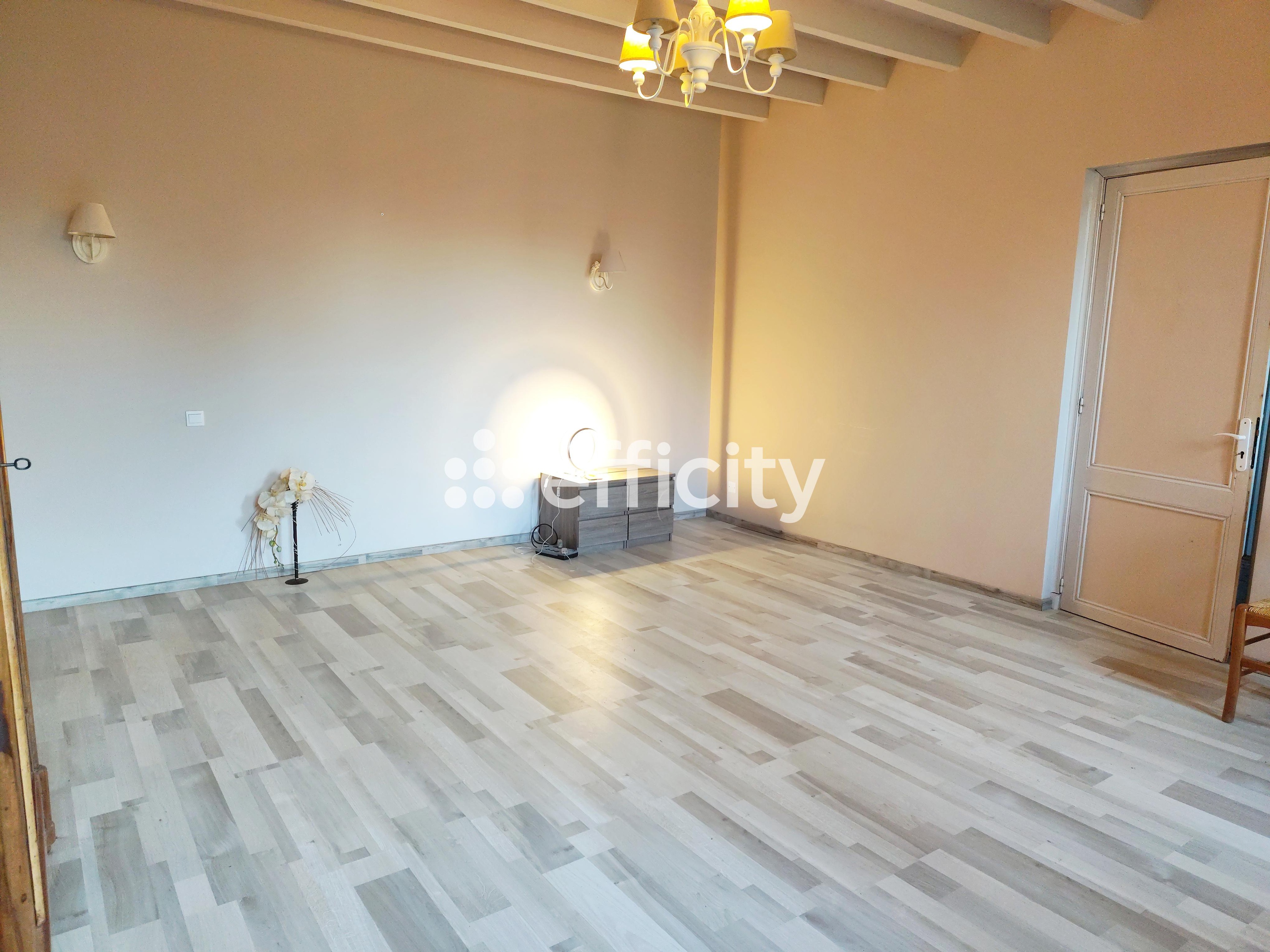 Achat immobilier Maison 6 pièces  208m2 à Tanzac (17260) - Photo n°4