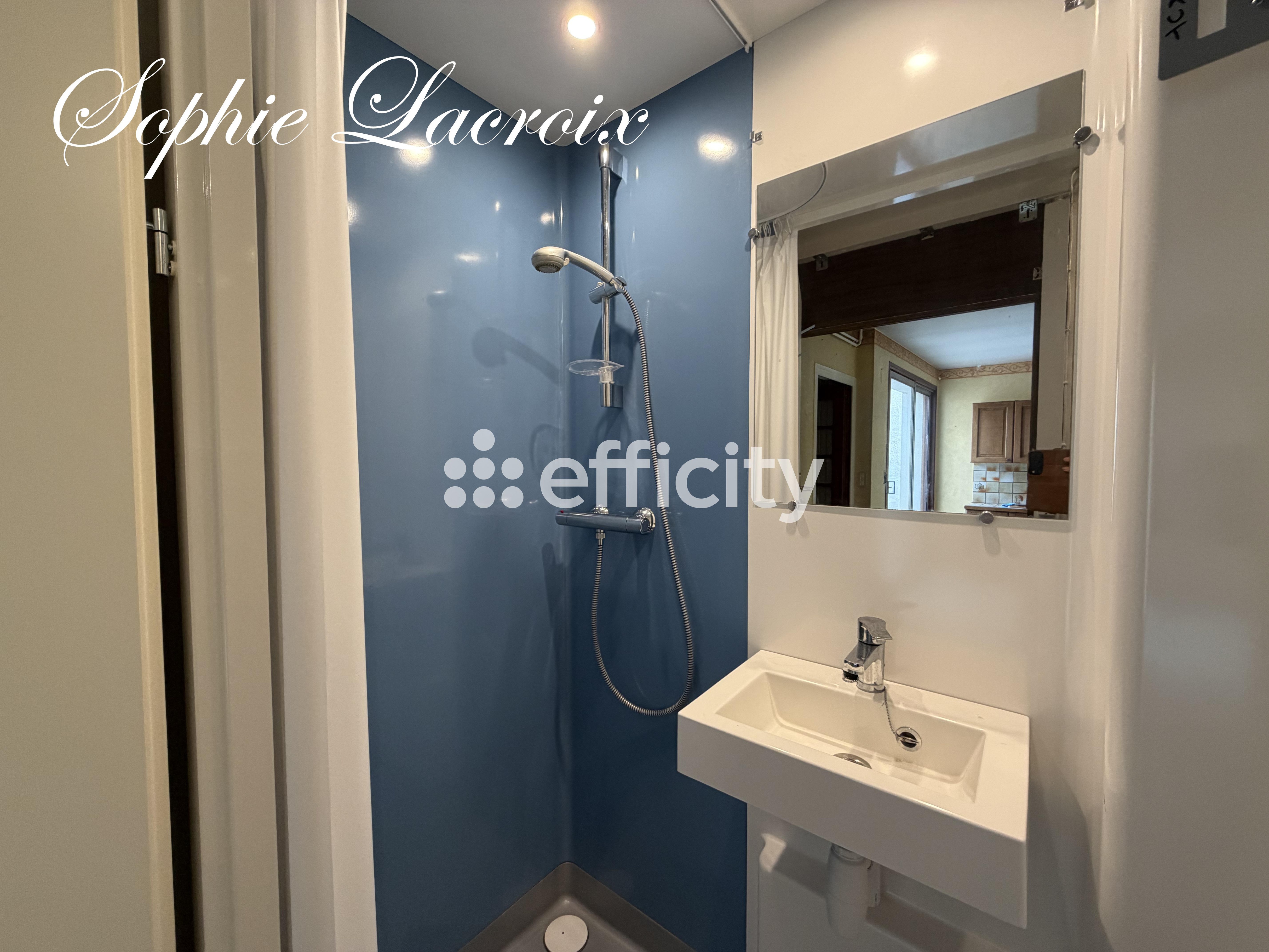 Achat immobilier Maison 7 pièces  168m2 à Anneyron (26140) - Photo n°10