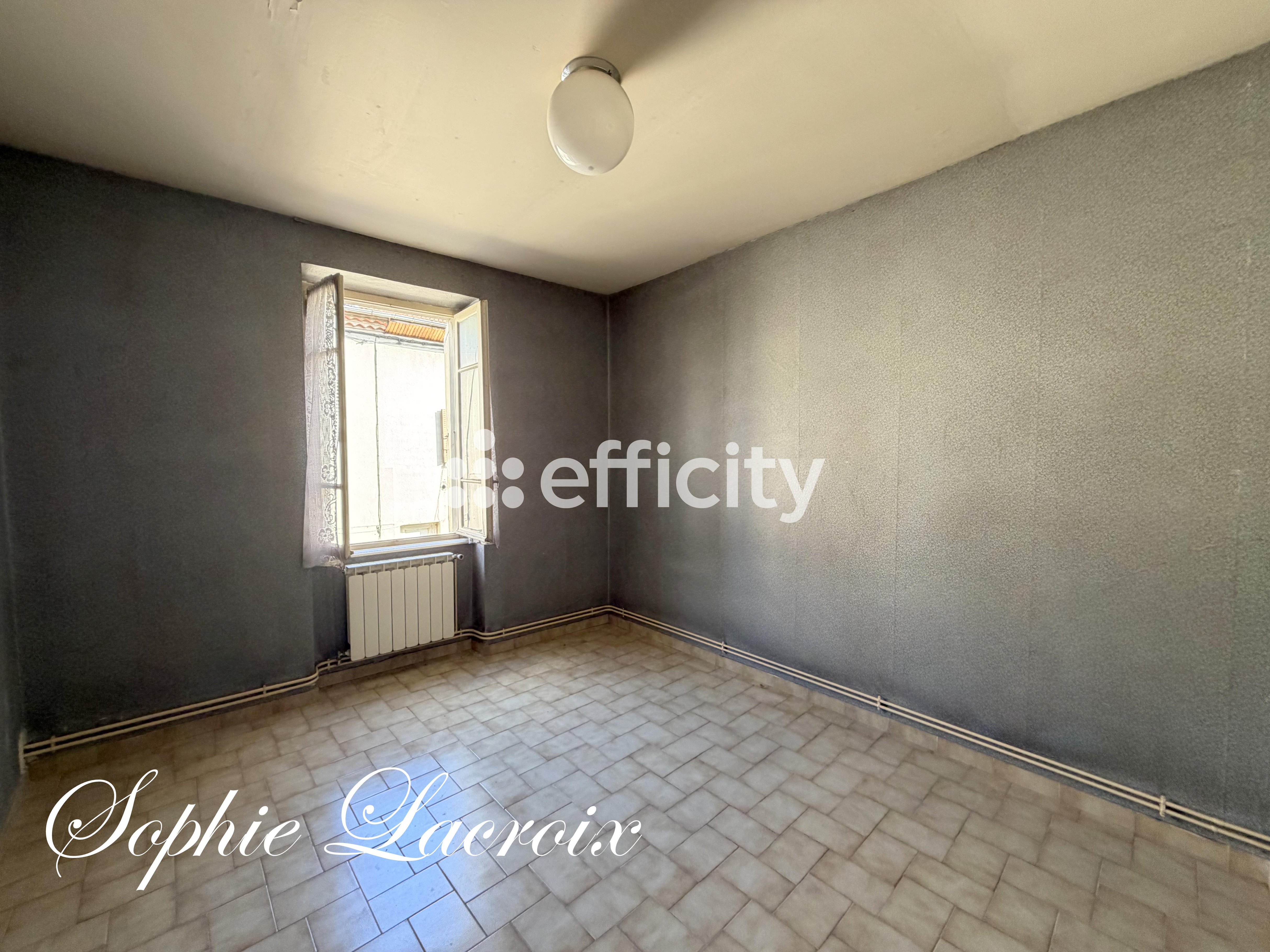 Achat immobilier Maison 7 pièces  168m2 à Anneyron (26140) - Photo n°9