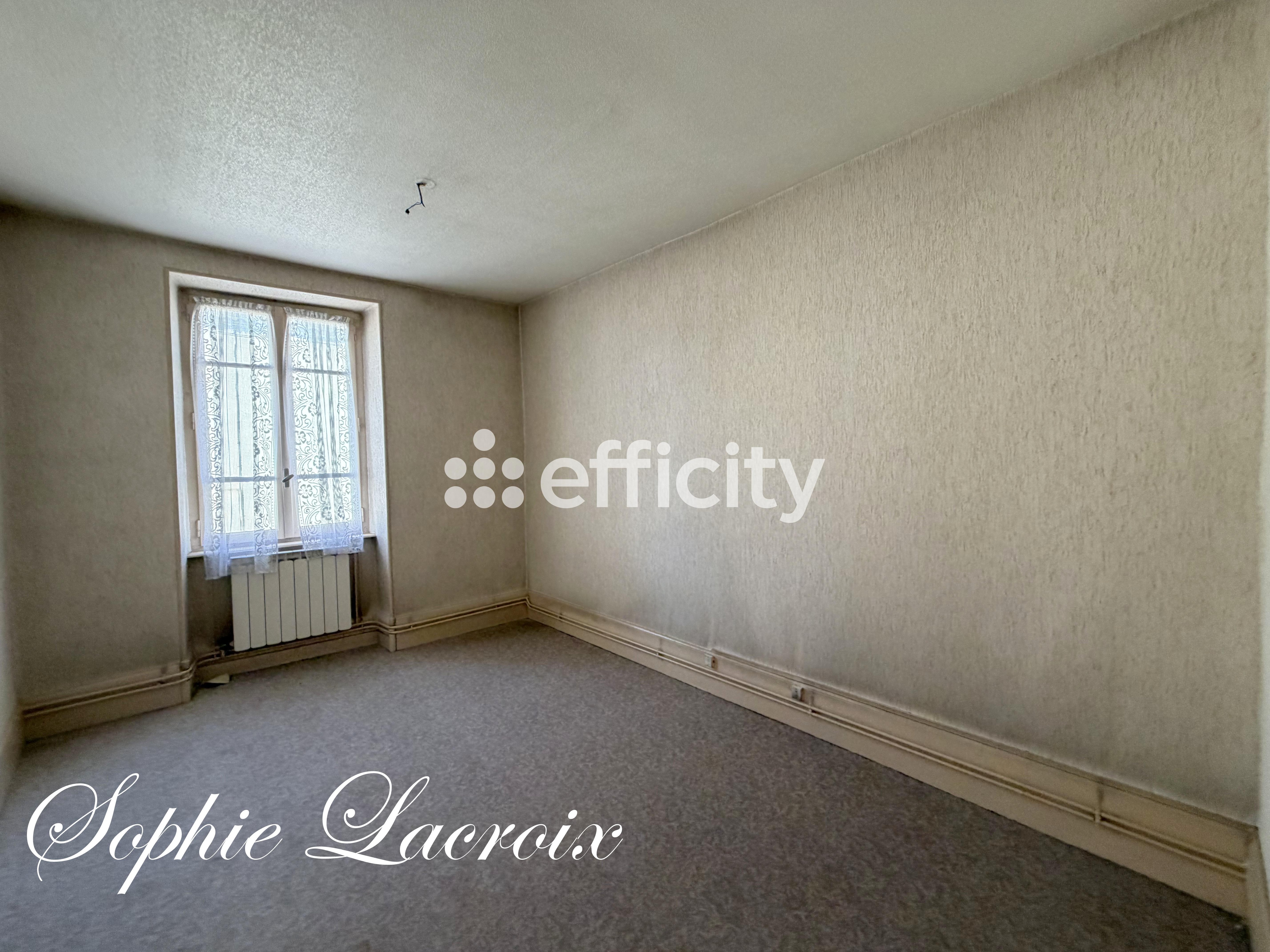 Achat immobilier Maison 7 pièces  168m2 à Anneyron (26140) - Photo n°8