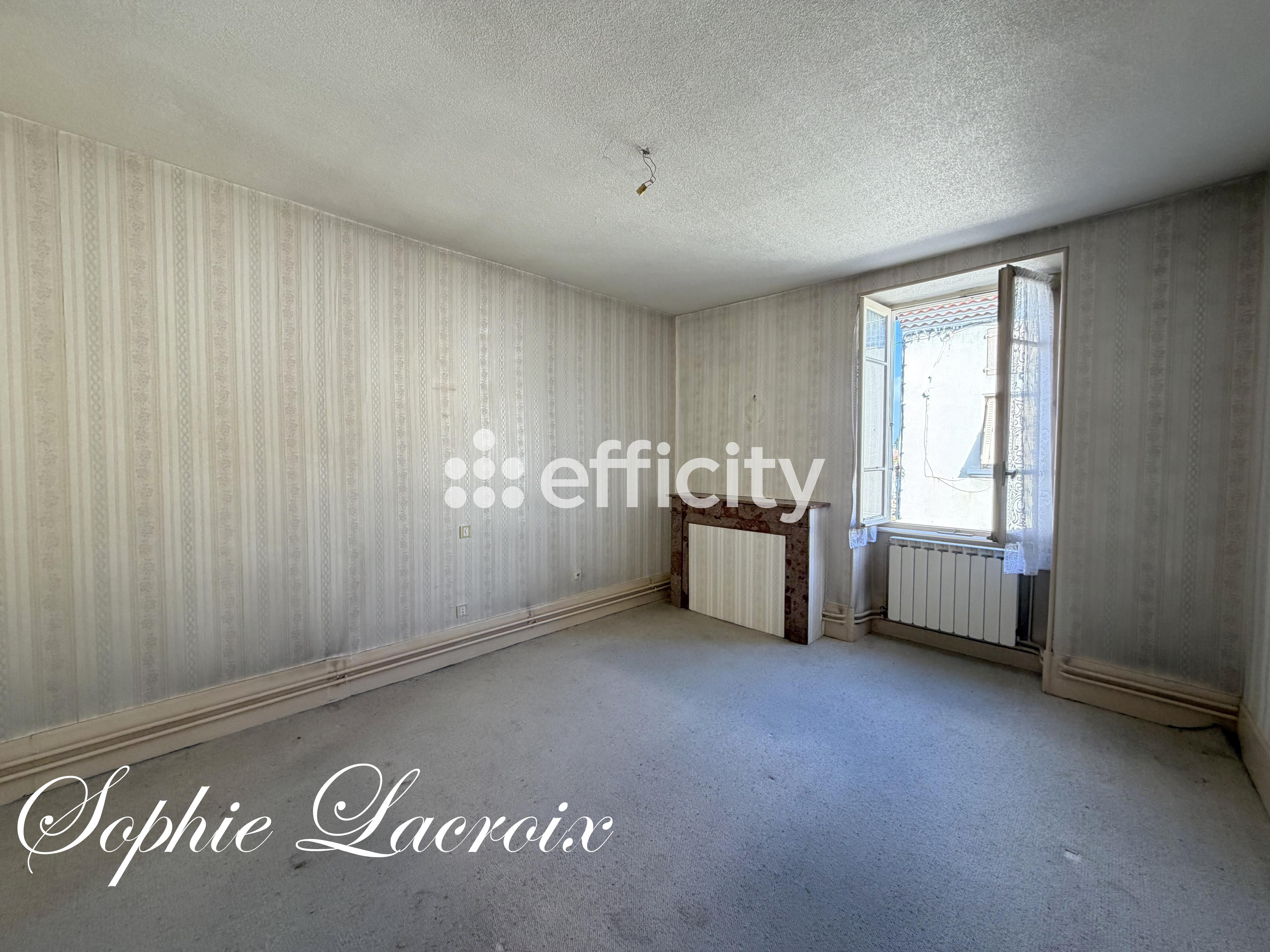 Achat immobilier Maison 7 pièces  168m2 à Anneyron (26140) - Photo n°7