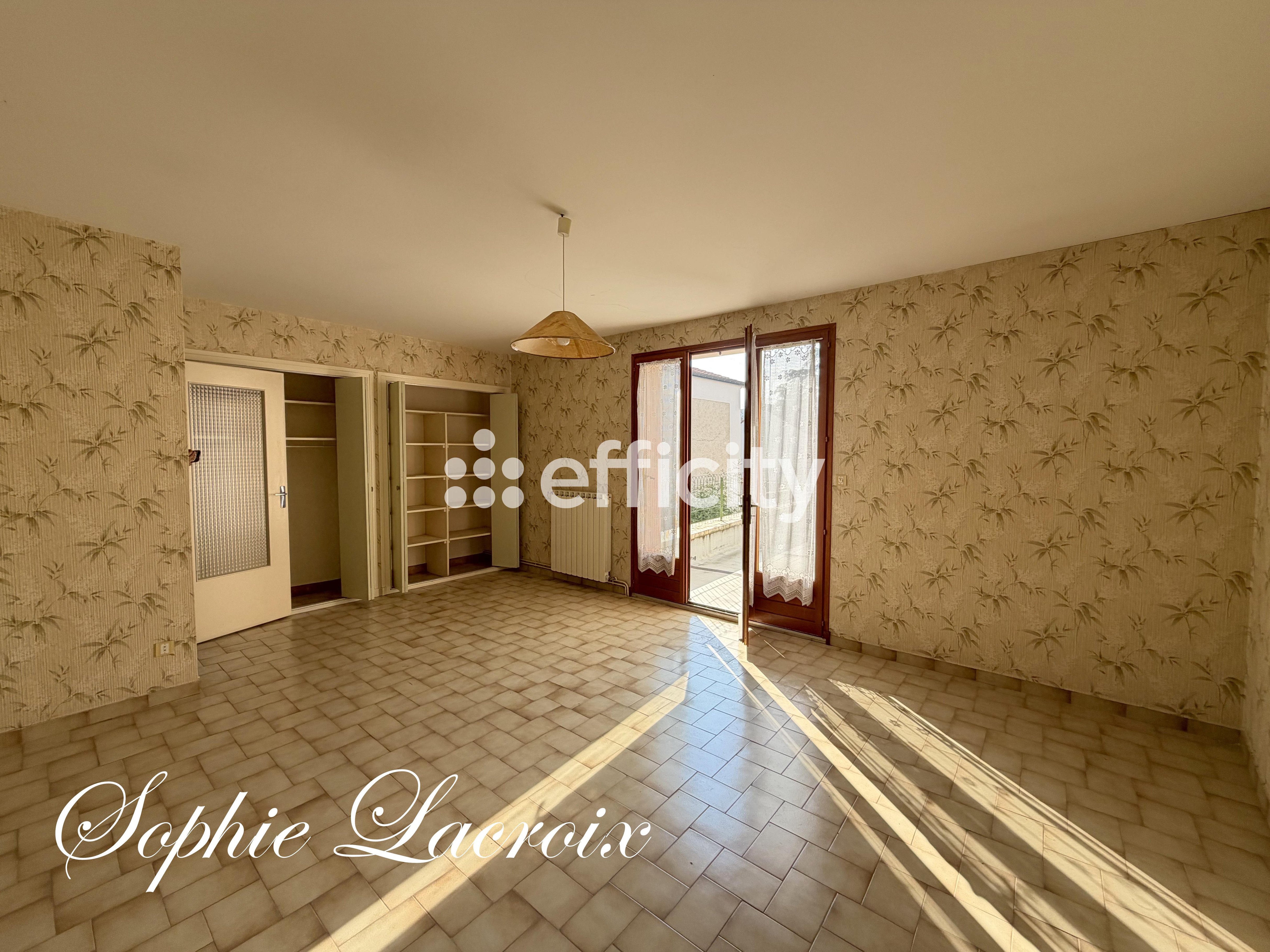 Achat immobilier Maison 7 pièces  168m2 à Anneyron (26140) - Photo n°5