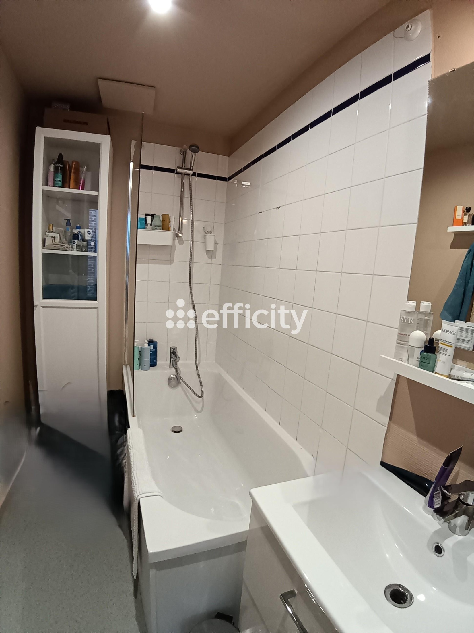 Achat immobilier Appartement 2 pièces  37m2 à Lille (59800) - Photo n°5