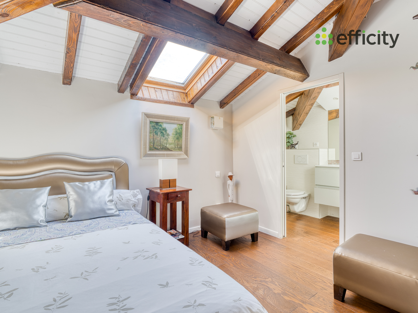 Achat immobilier Maison 6 pièces  170m2 à Satolas-et-Bonce (38290) - Photo n°11