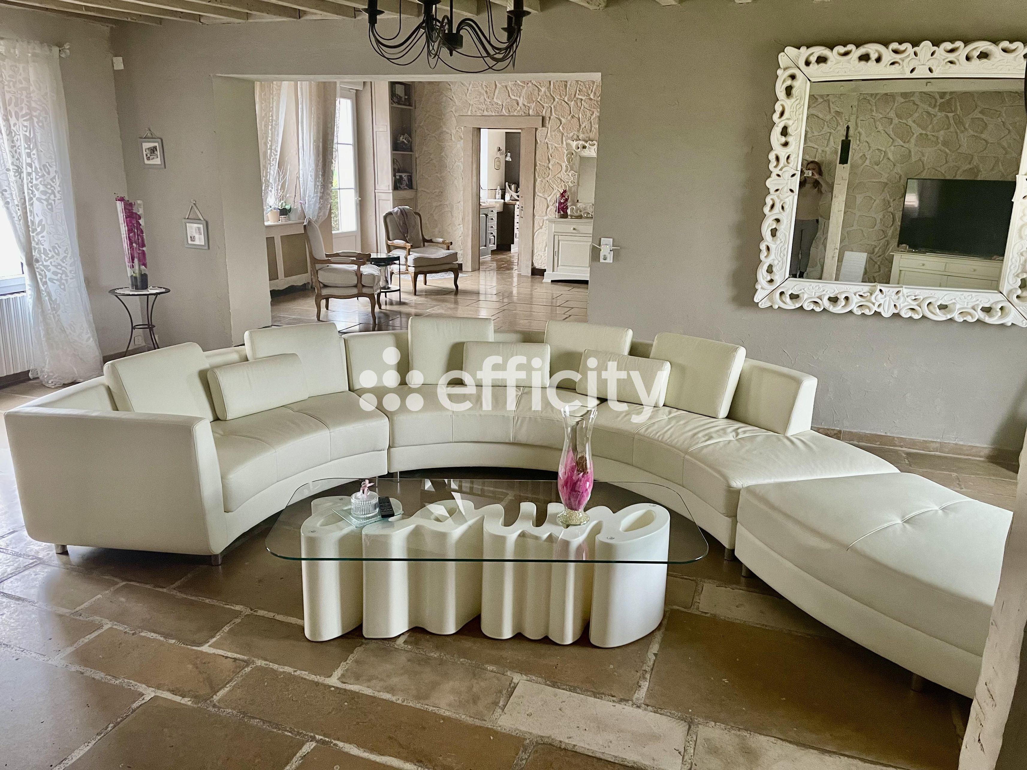 Achat immobilier Maison 9 pièces  300m2 à Villeneuve-sur-Cher (18400) - Photo n°5