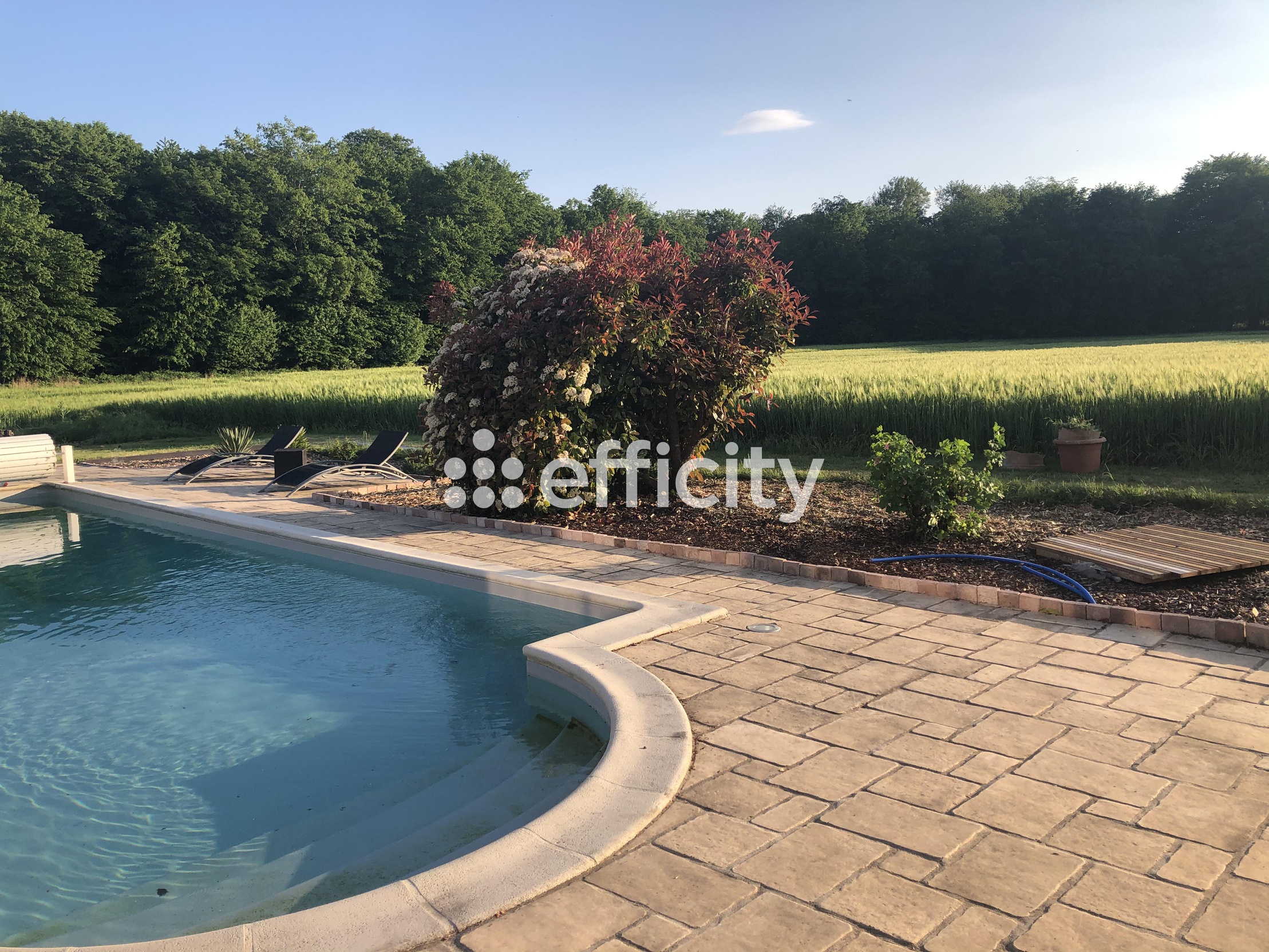 maison 9 pièces - 300m2 à Villeneuve-sur-Cher (18400)