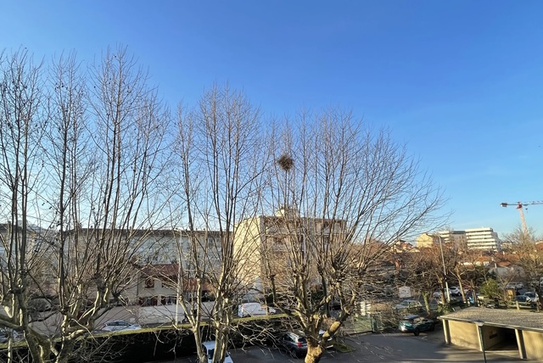 Achat immobilier Appartement 3 pièces  68m2 à Lyon (69008) - Photo n°1