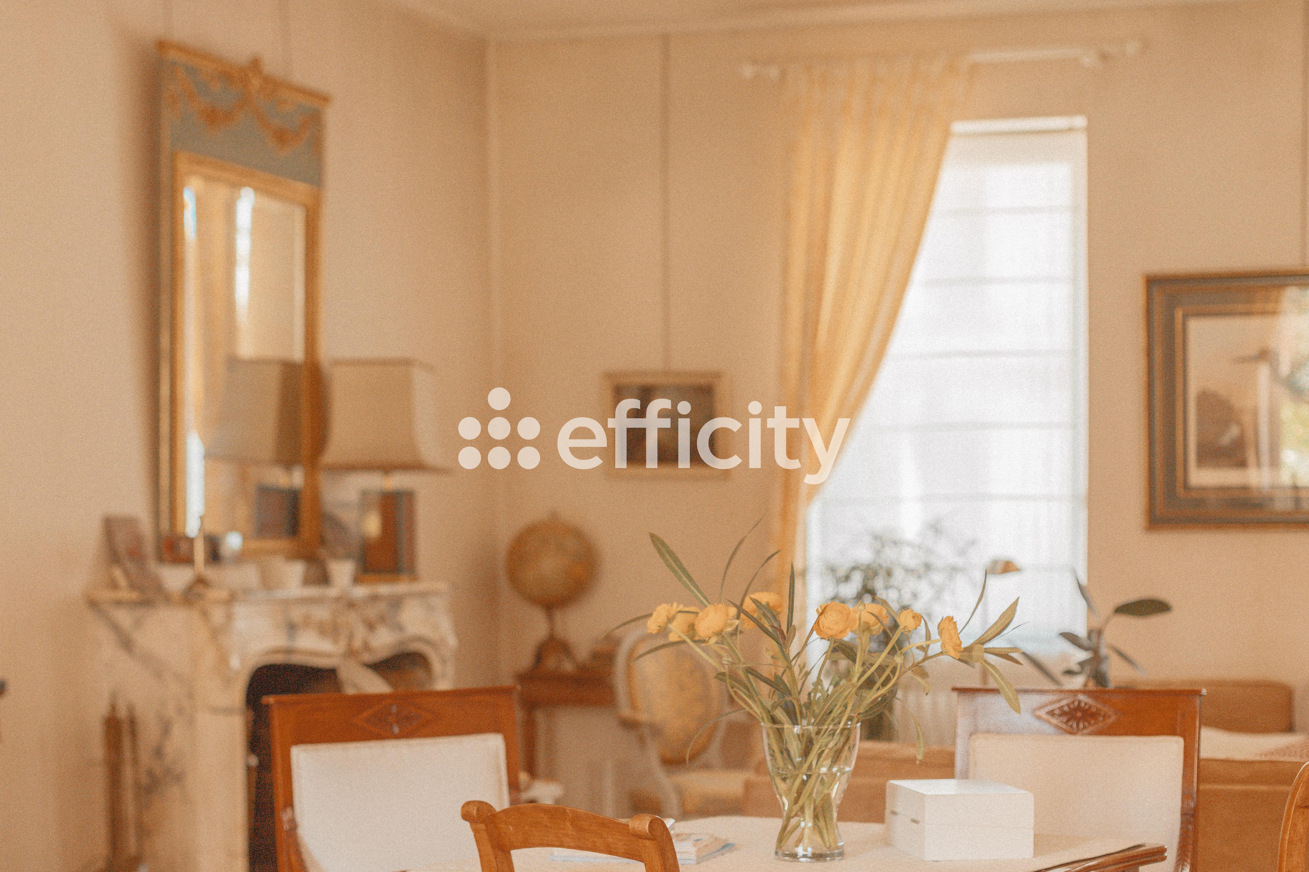 Achat immobilier Maison 8 pièces  210m2 à La Rochelle (17000) - Photo n°18