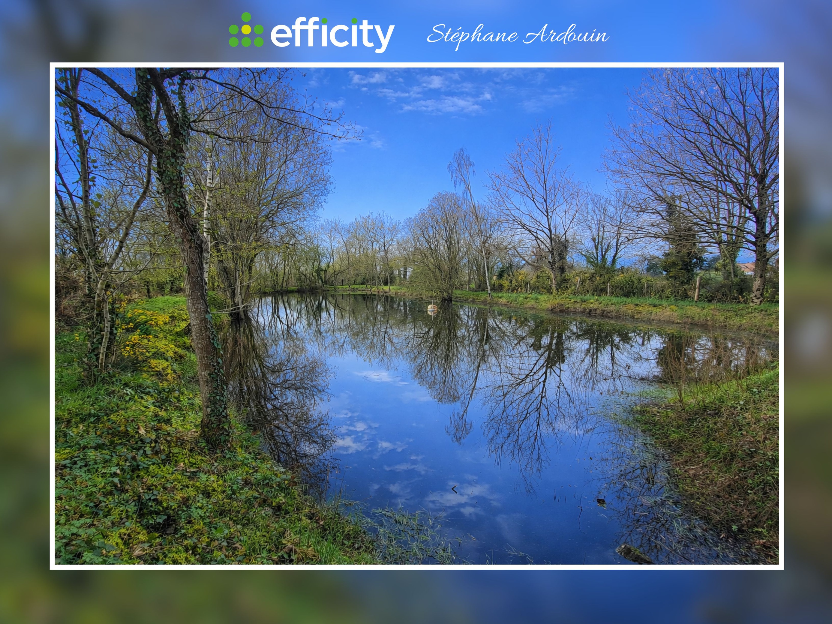 Achat immobilier Terrain   19765m2 à Vallet (44330) - Photo n°1
