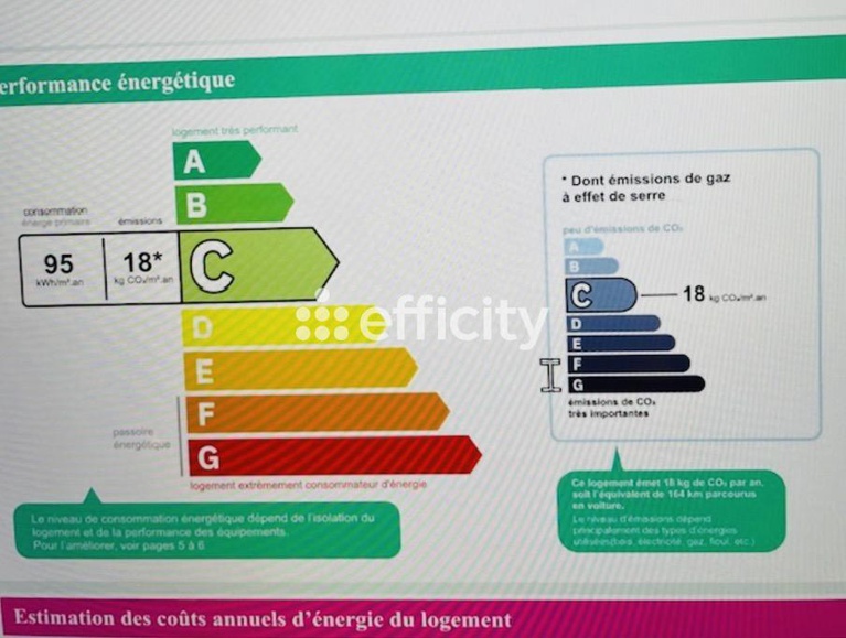 Achat immobilier Appartement 6 pièces  170m2 à Paris (75016) - Photo n°10