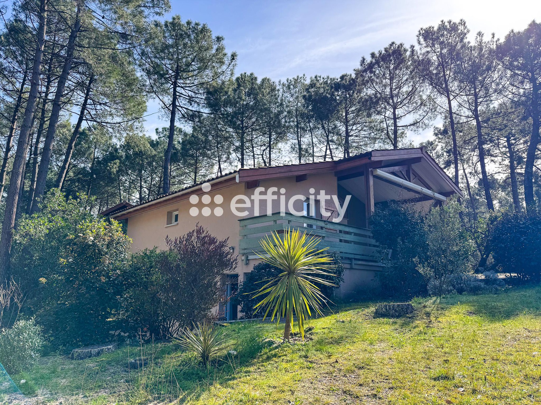 Achat immobilier Maison 5 pièces  160m2 à Lacanau (33680) - Photo n°4