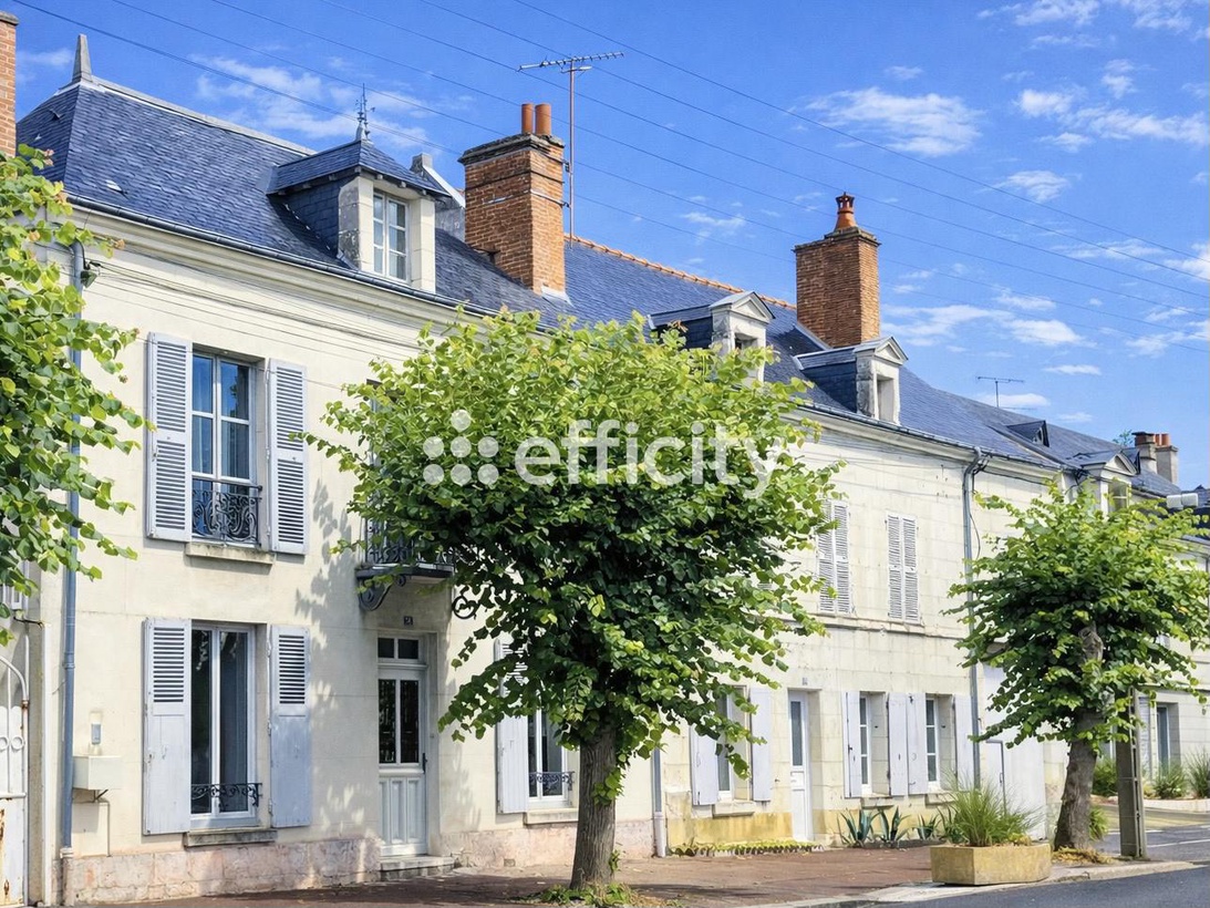 Achat immobilier Immeuble 7 pièces  220m2 à Saint-Aignan (41110) - Photo n°9