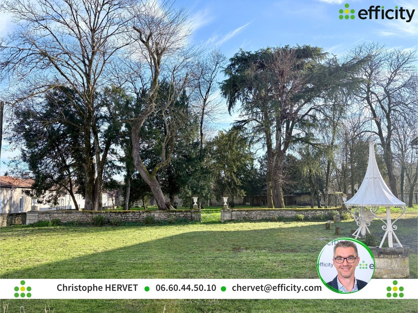 Achat immobilier Maison 11 pièces  381m2 à Ruffec (16700) - Photo n°4