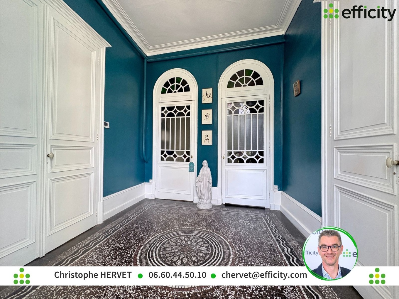 Achat immobilier Maison 11 pièces  381m2 à Ruffec (16700) - Photo n°5