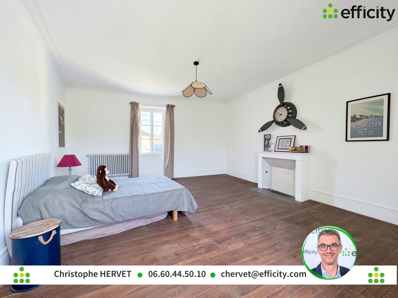 Achat immobilier Maison 11 pièces  381m2 à Ruffec (16700) - Photo n°16