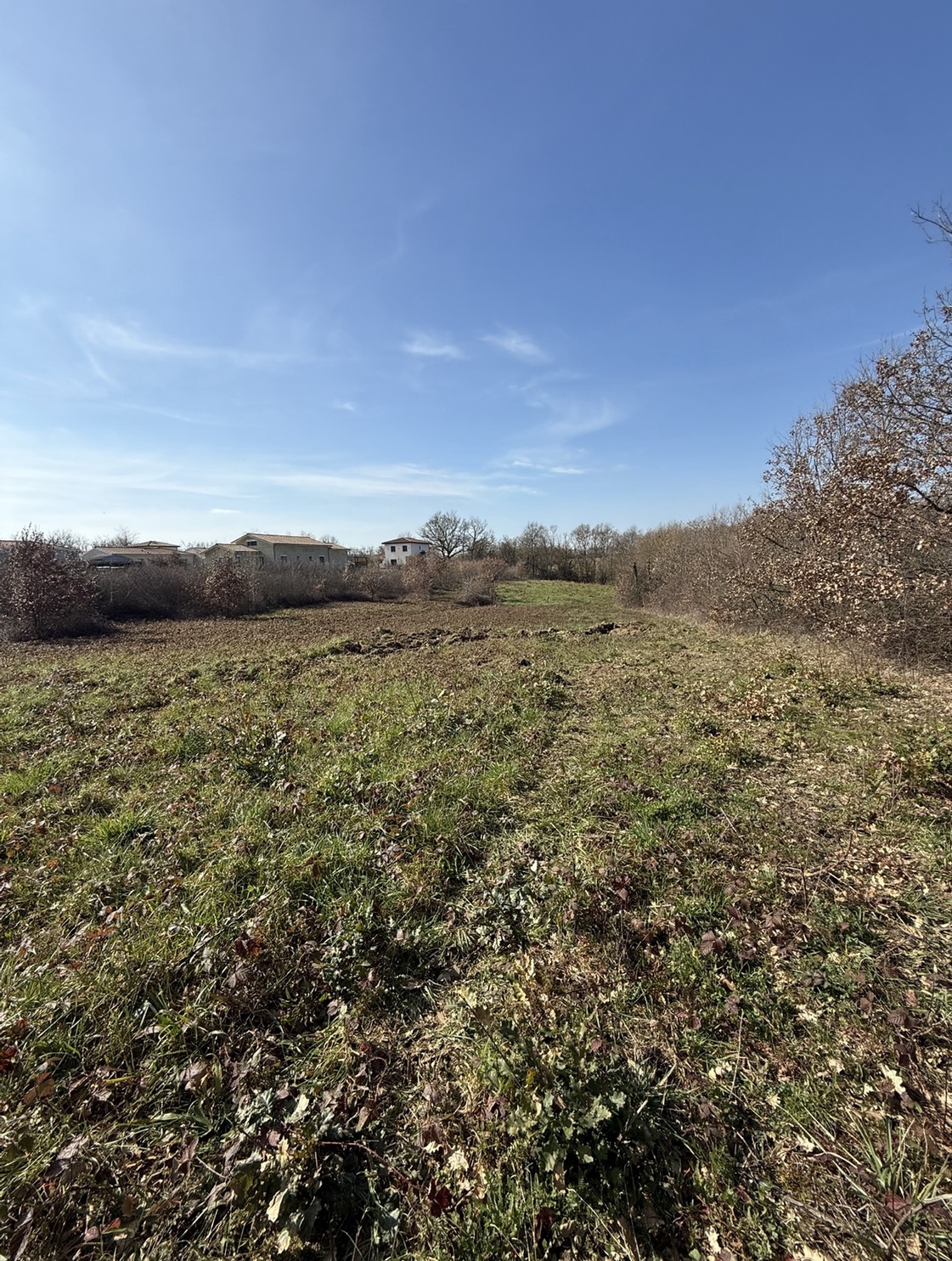 Achat immobilier Terrain   900m2 à Saint-Clar-de-Rivière (31600) - Photo n°4