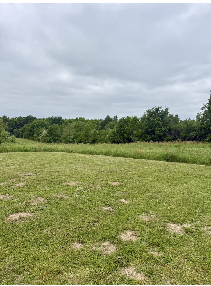 terrain  - 900m2 à Saint-Clar-de-Rivière (31600)
