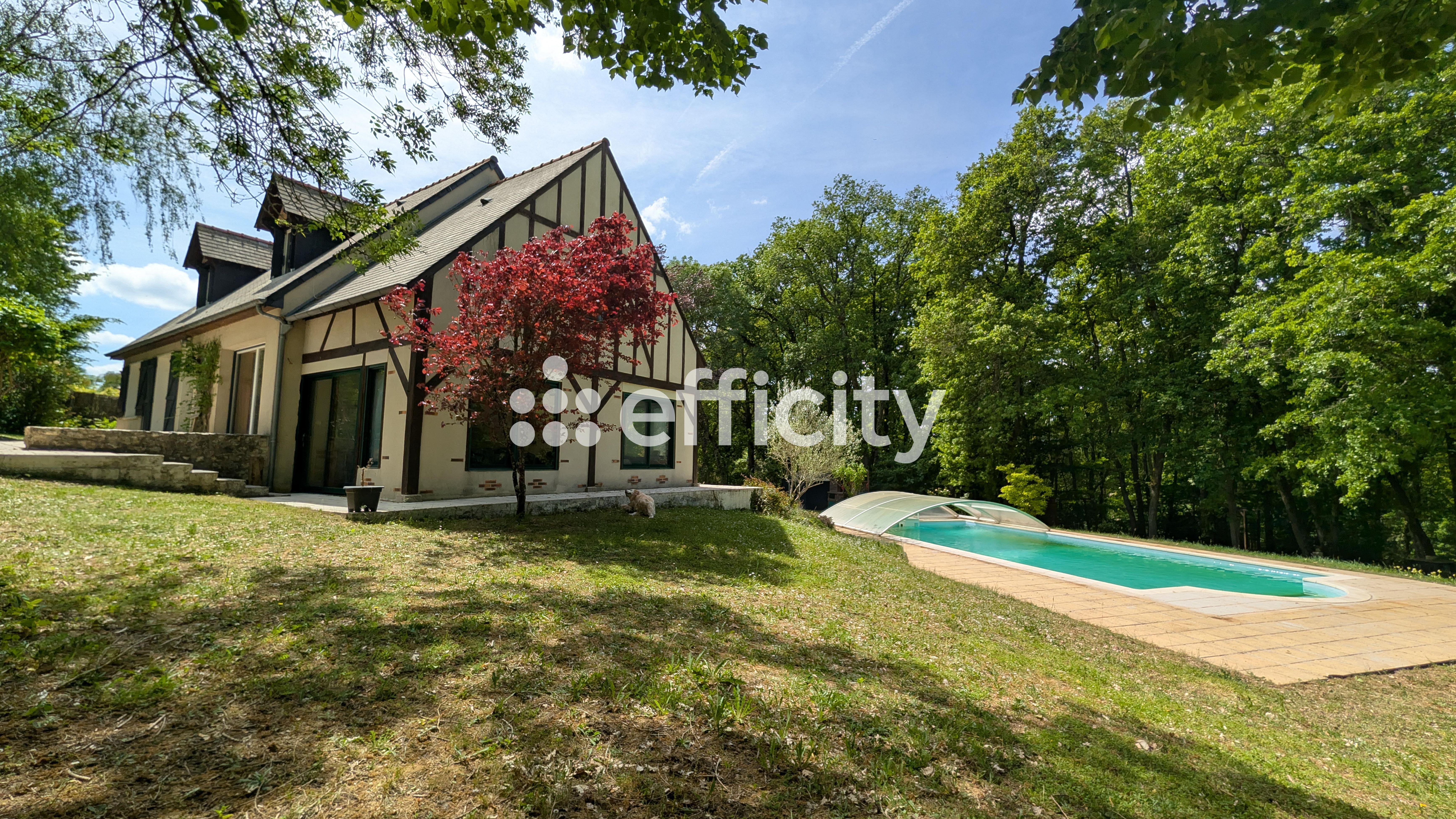 Achat immobilier Maison 7 pièces  180m2 à Rochecorbon (37210) - Photo n°1