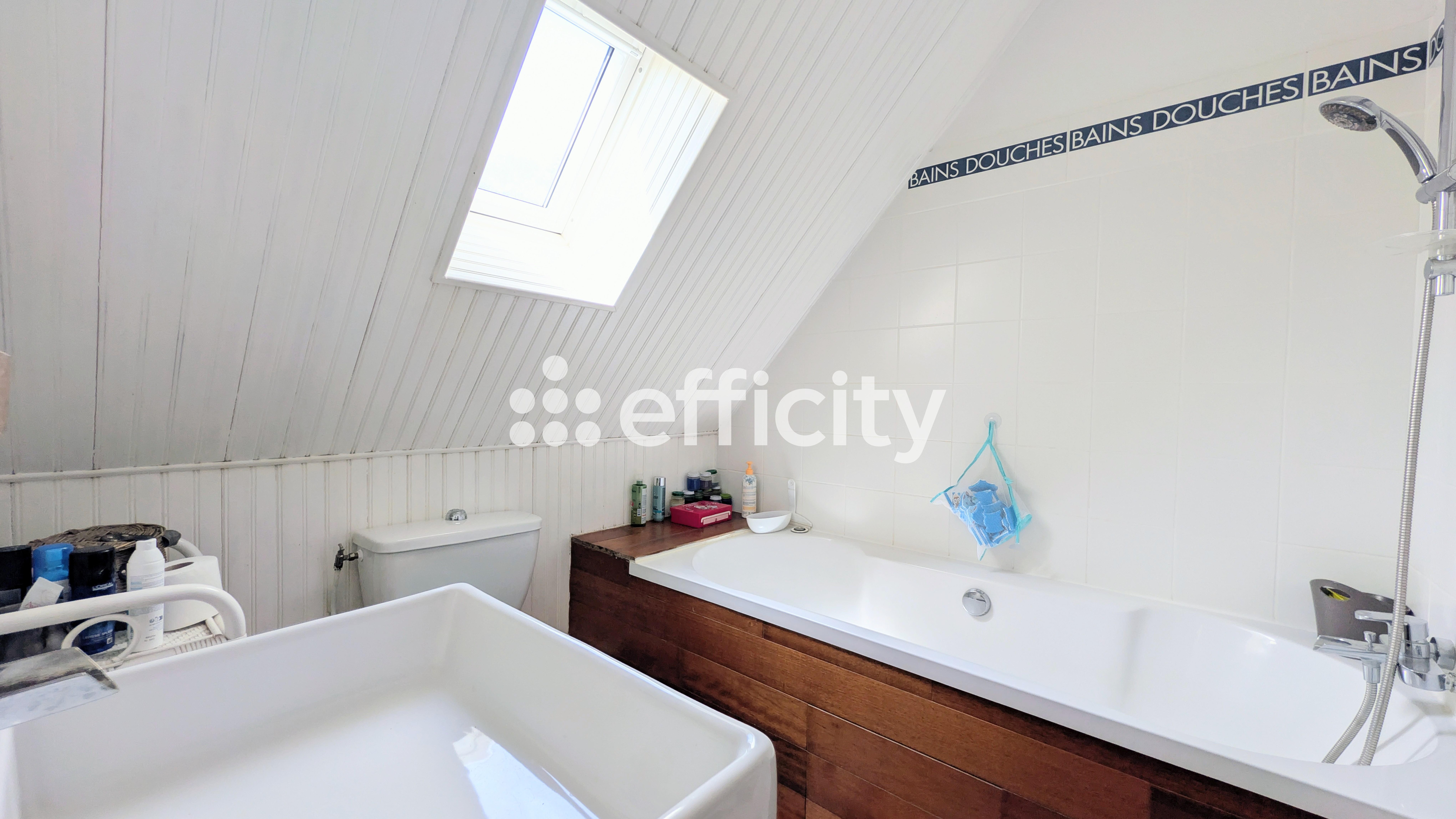 Achat immobilier Maison 7 pièces  180m2 à Rochecorbon (37210) - Photo n°9