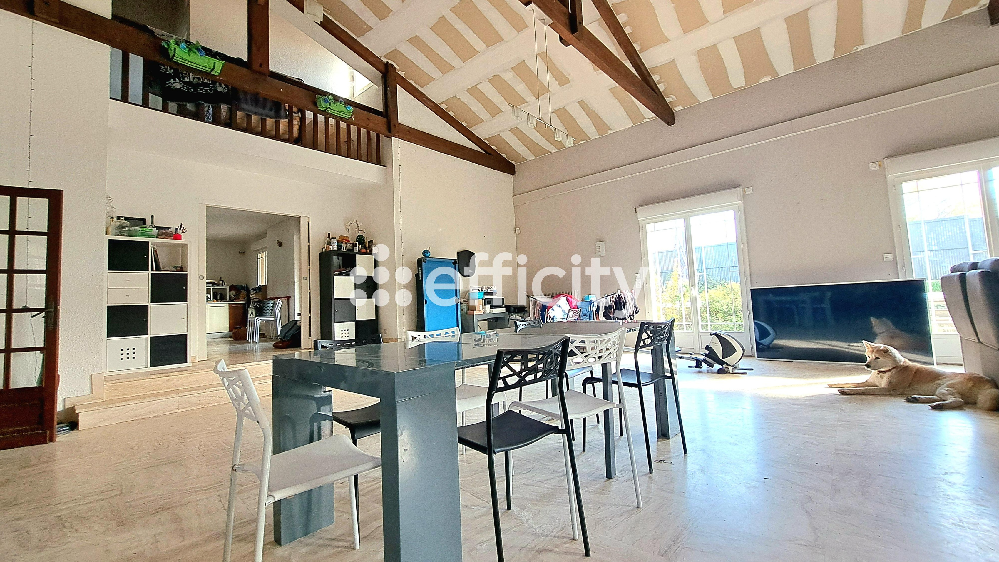 Achat immobilier Maison 7 pièces  307m2 à Léognan (33850) - Photo n°6