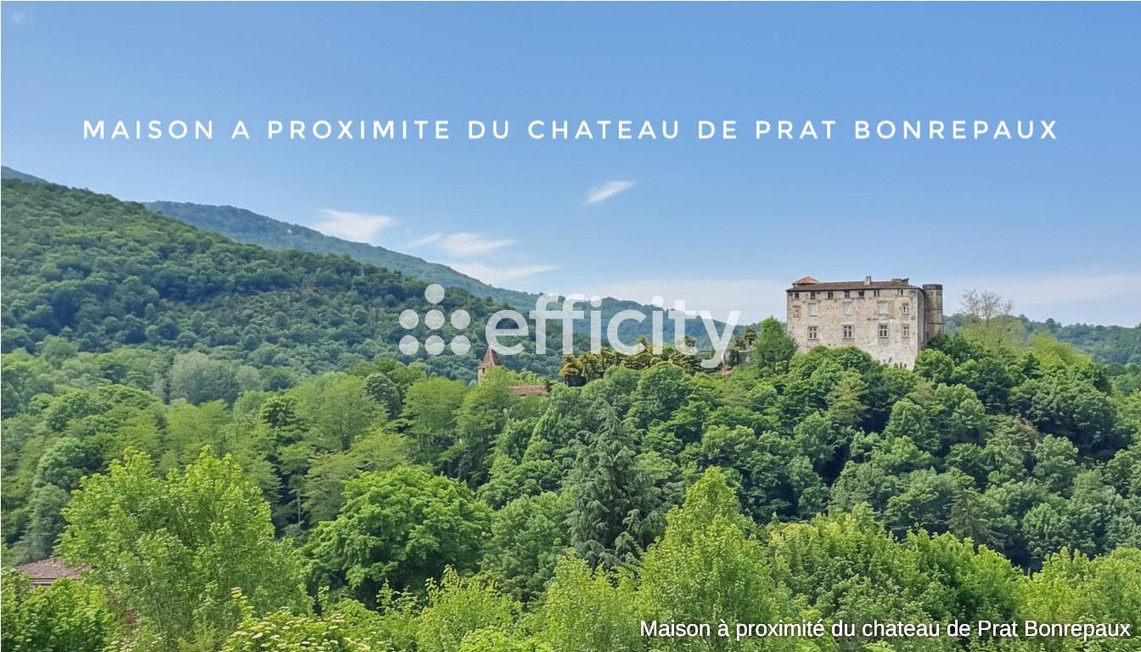 Achat immobilier Maison 9 pièces  247m2 à Prat-Bonrepaux (09160) - Photo n°8