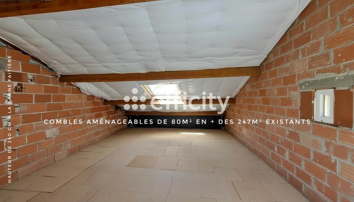 Achat immobilier Maison 9 pièces  247m2 à Prat-Bonrepaux (09160) - Photo n°31