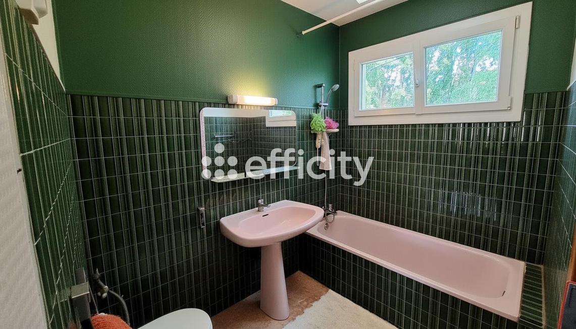 Achat immobilier Maison 9 pièces  247m2 à Prat-Bonrepaux (09160) - Photo n°28