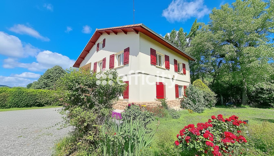 Achat immobilier Maison 9 pièces  247m2 à Prat-Bonrepaux (09160) - Photo n°5