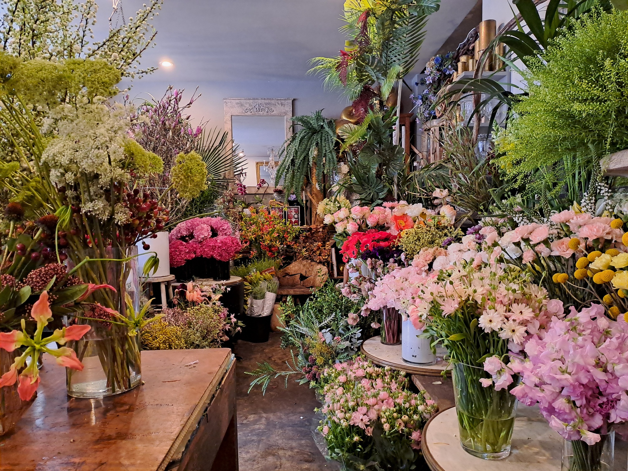 fonds de commerce  - 50m2 à Paris (75005)