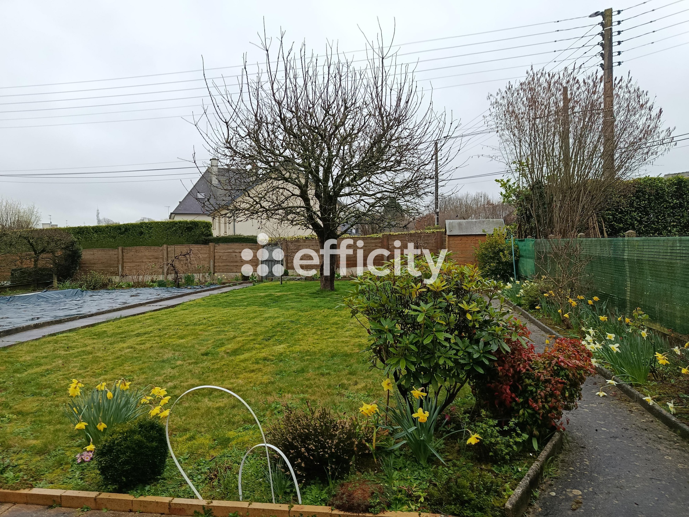 maison 7 pièces - 113m2 à Vitré (35500)