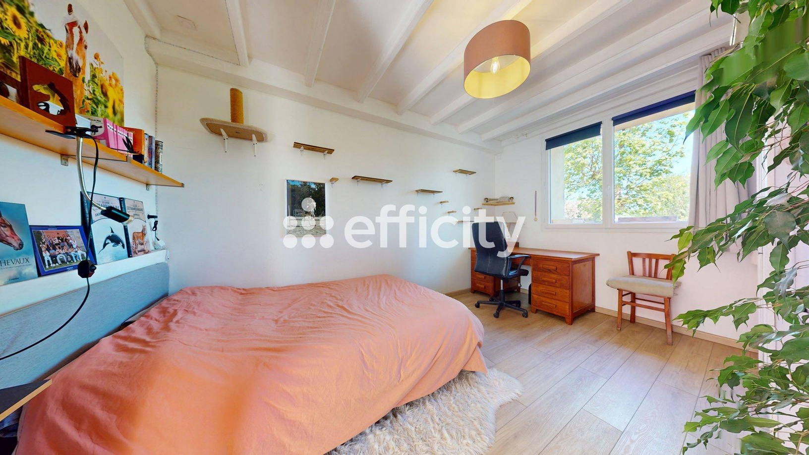 Achat immobilier Maison 6 pièces  132m2 à Miribel (01700) - Photo n°7