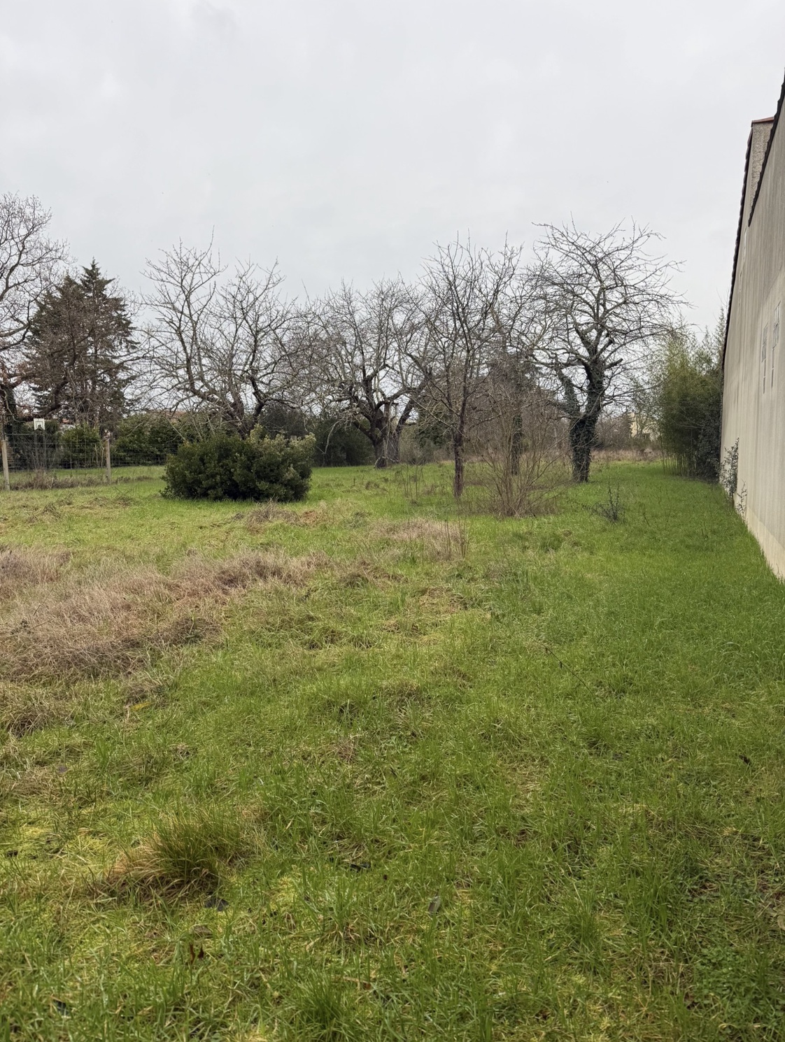 Achat immobilier Maison 4 pièces  110m2 à Toulouse (31100) - Photo n°1
