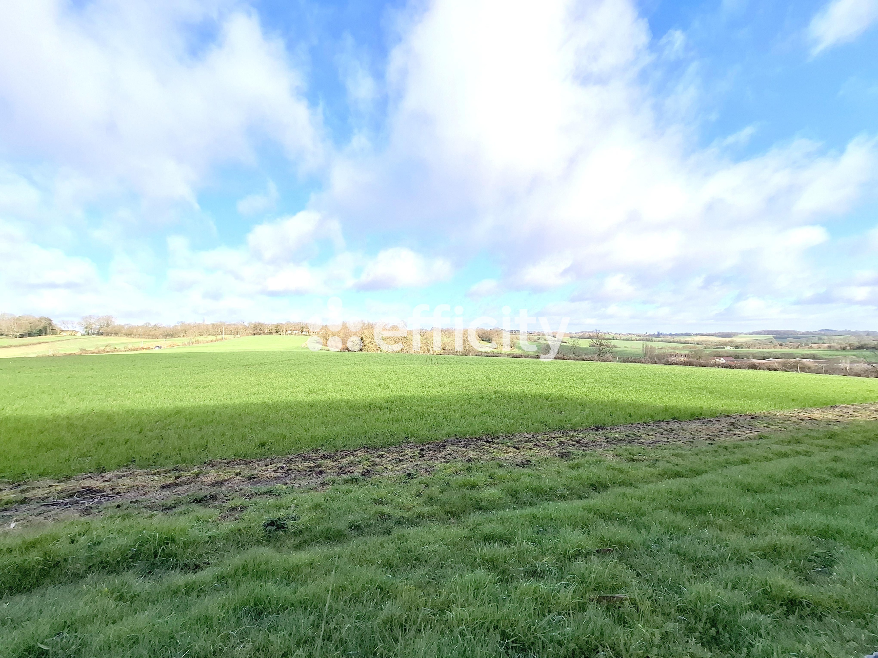 Achat immobilier Maison 3 pièces  106m2 à Perche en Nocé (61340) - Photo n°4