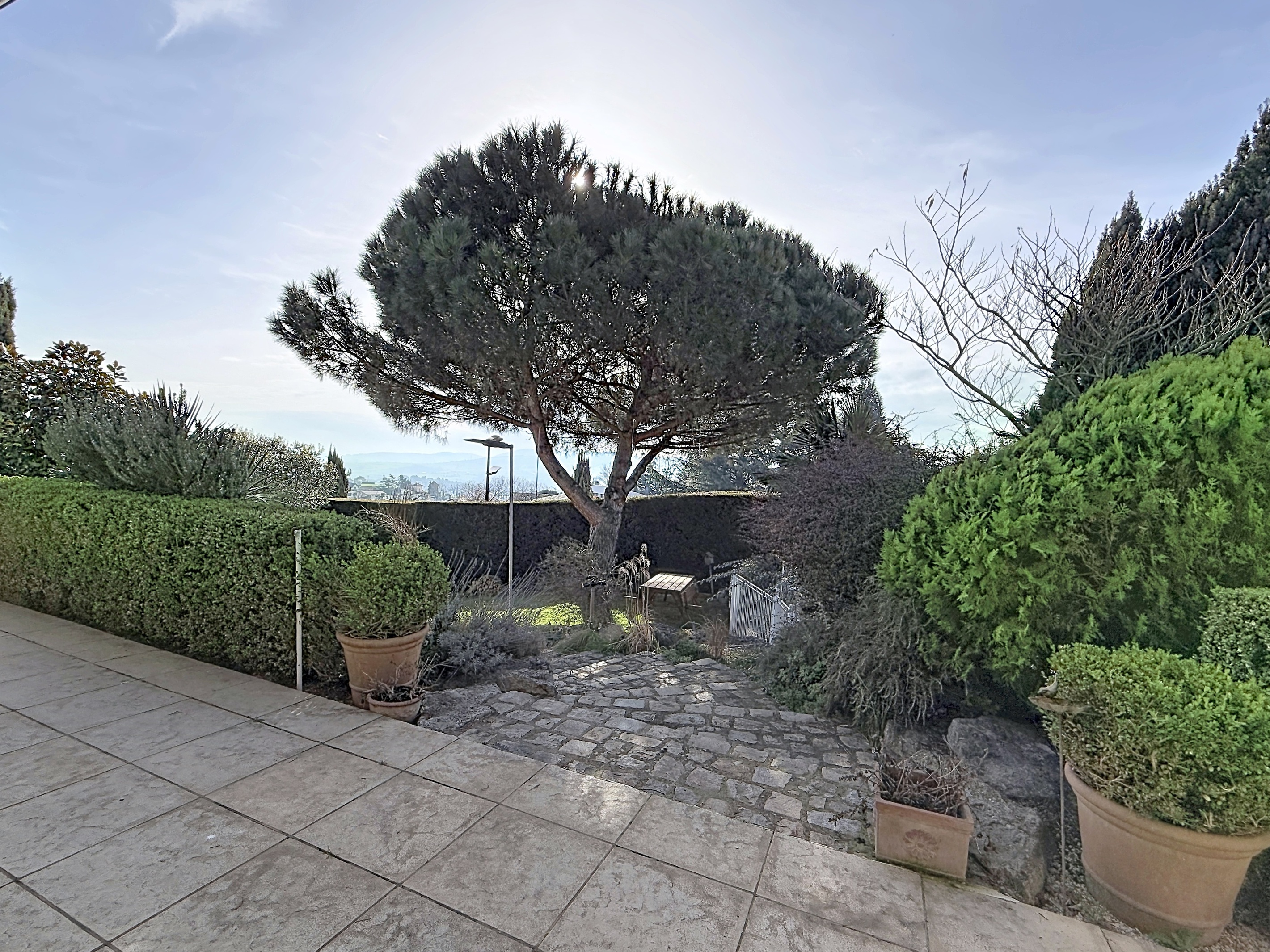 Achat immobilier Maison 5 pièces  310m2 à Saint-Martin-la-Plaine (42800) - Photo n°4