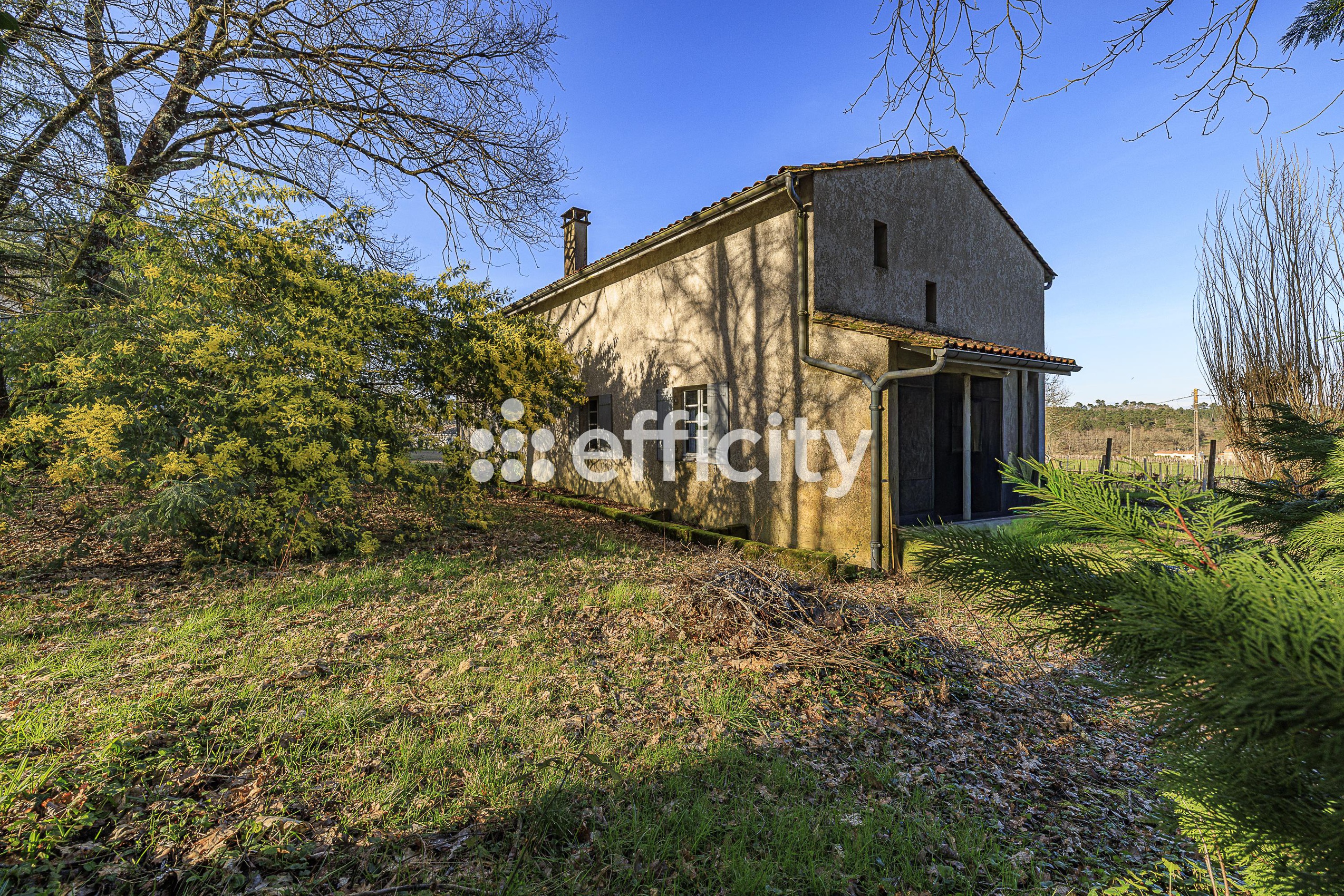Achat immobilier Maison 8 pièces  172m2 à Saint-Martin-de-Coux (17360) - Photo n°16