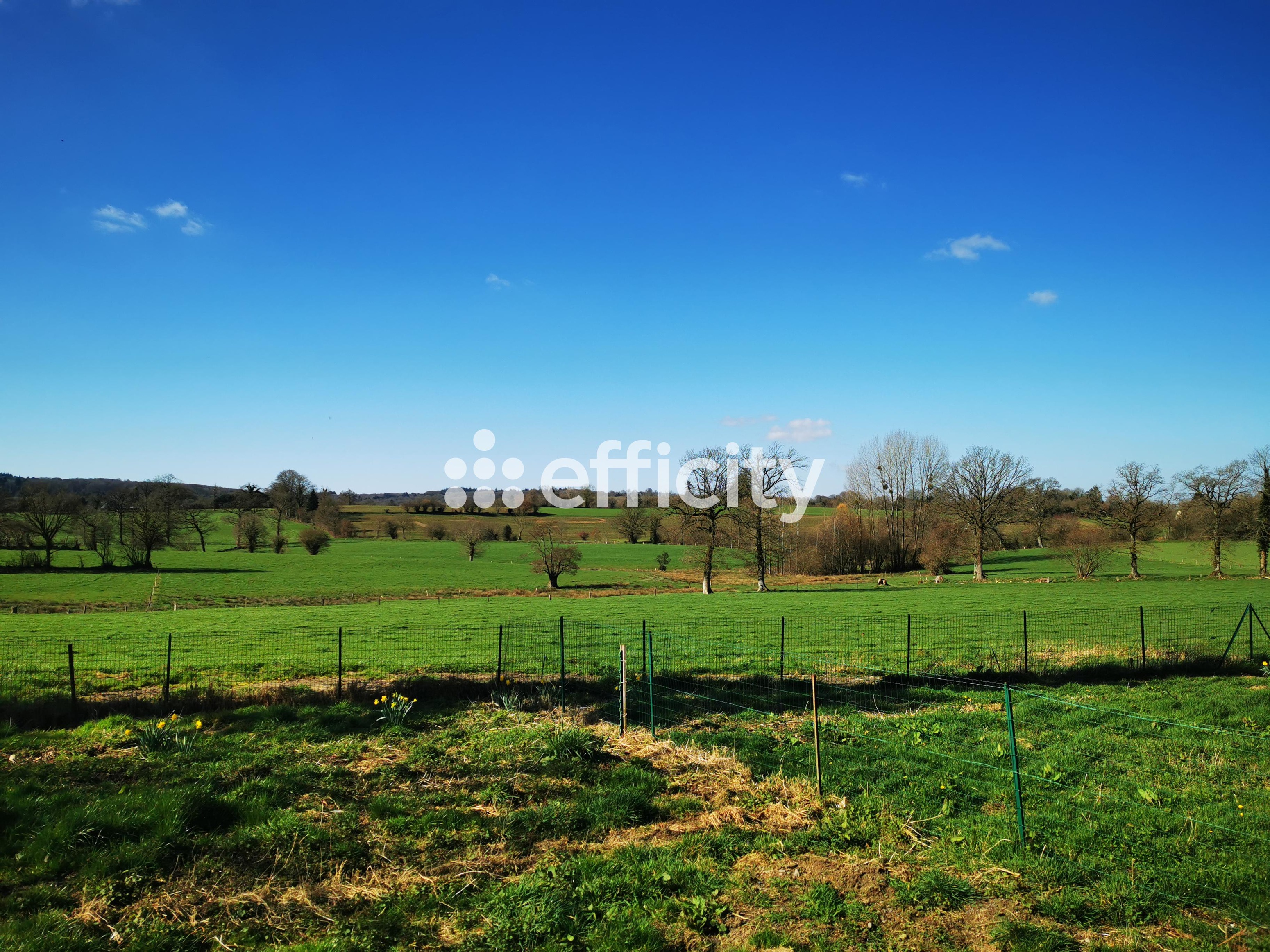 Achat immobilier Maison 5 pièces  136m2 à Noues de Sienne (14380) - Photo n°17
