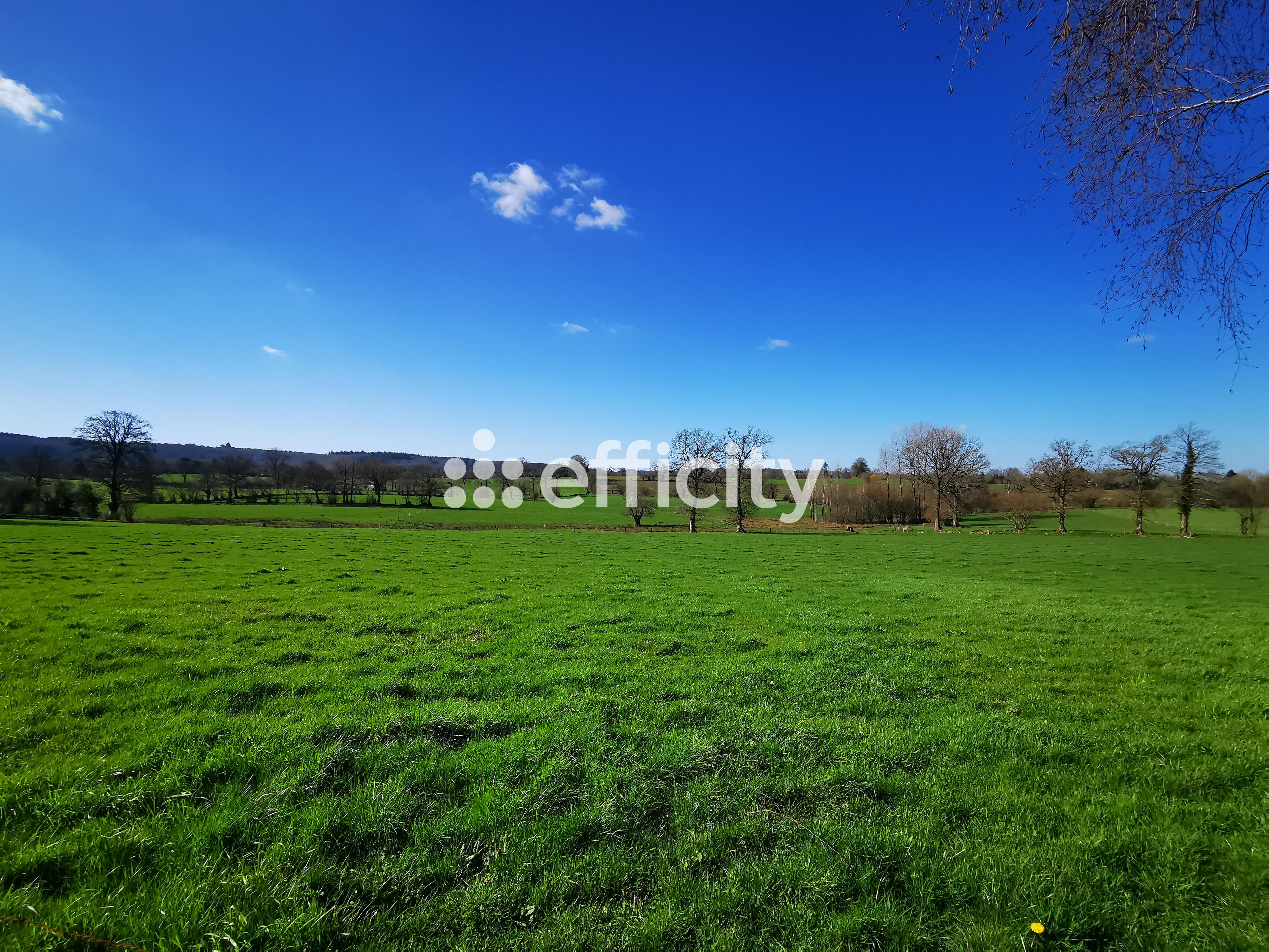 Achat immobilier Maison 5 pièces  136m2 à Noues de Sienne (14380) - Photo n°24