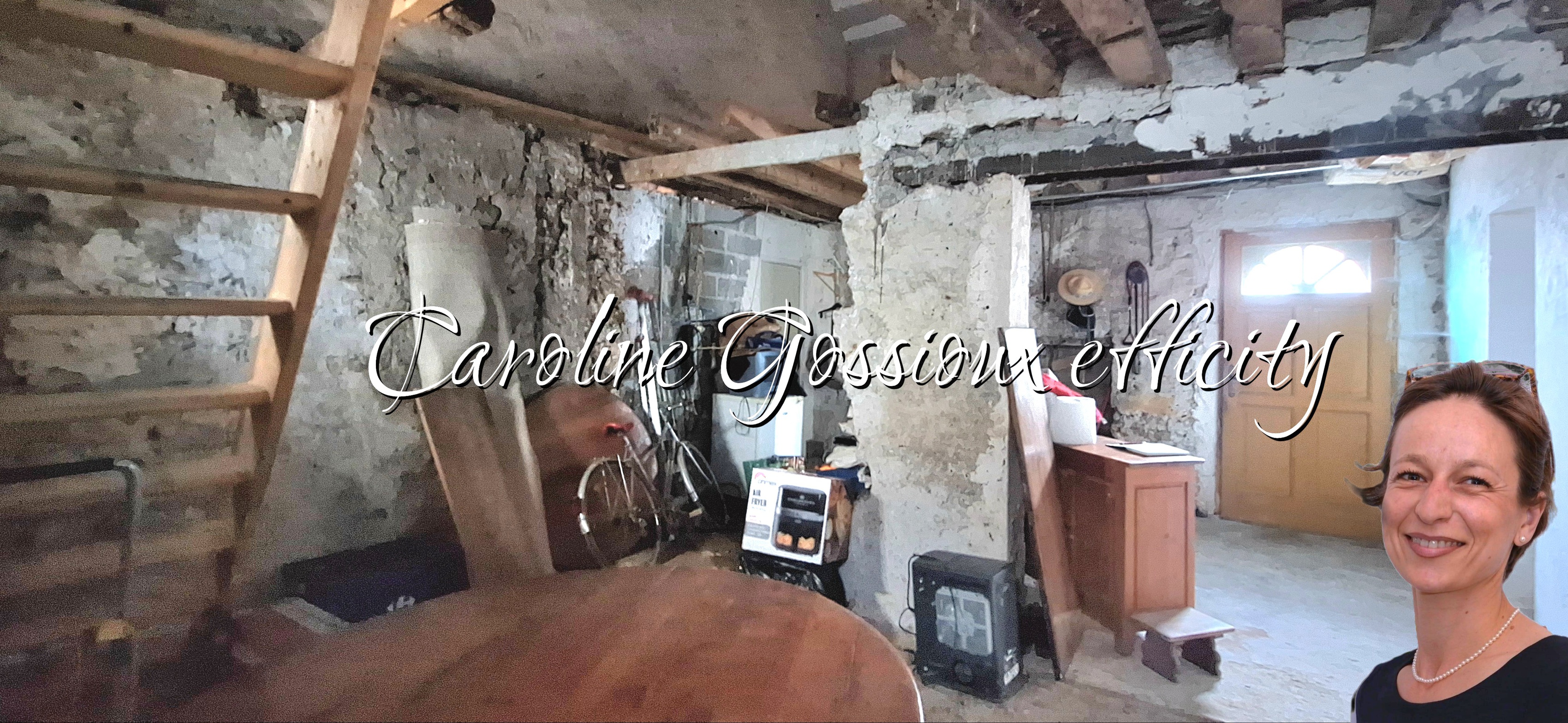 Achat immobilier Maison 3 pièces  53m2 à Chambry (77910) - Photo n°17