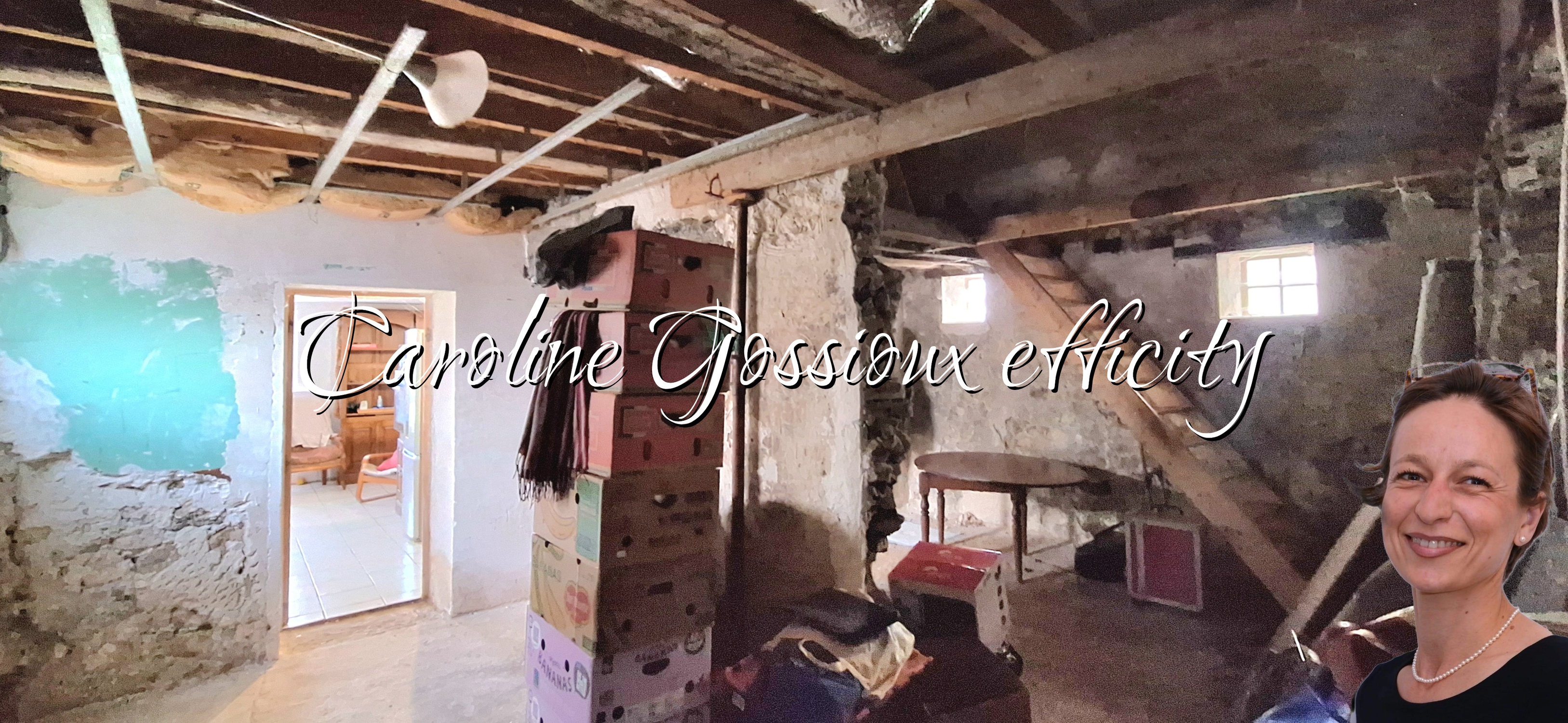 Achat immobilier Maison 3 pièces  53m2 à Chambry (77910) - Photo n°16