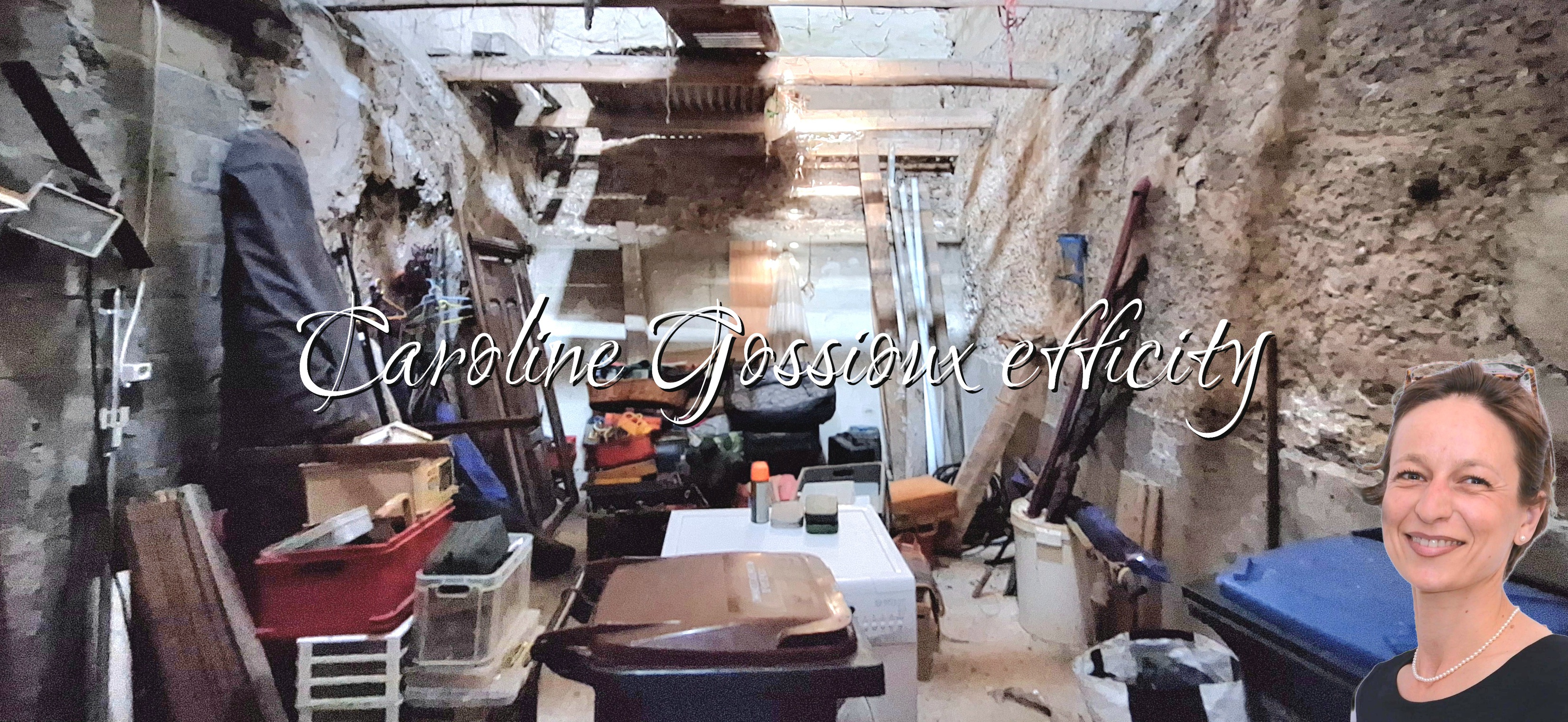 Achat immobilier Maison 3 pièces  53m2 à Chambry (77910) - Photo n°18