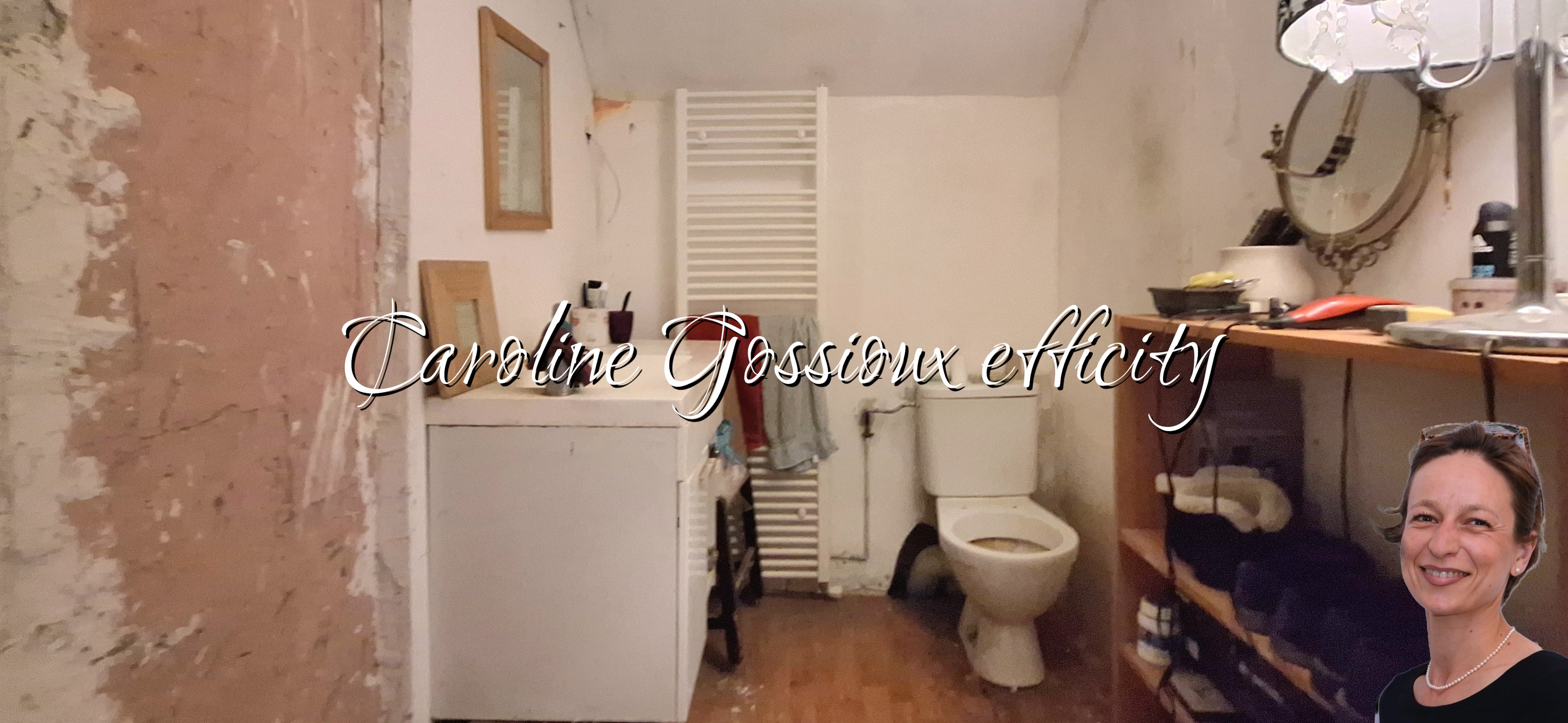Achat immobilier Maison 3 pièces  53m2 à Chambry (77910) - Photo n°9
