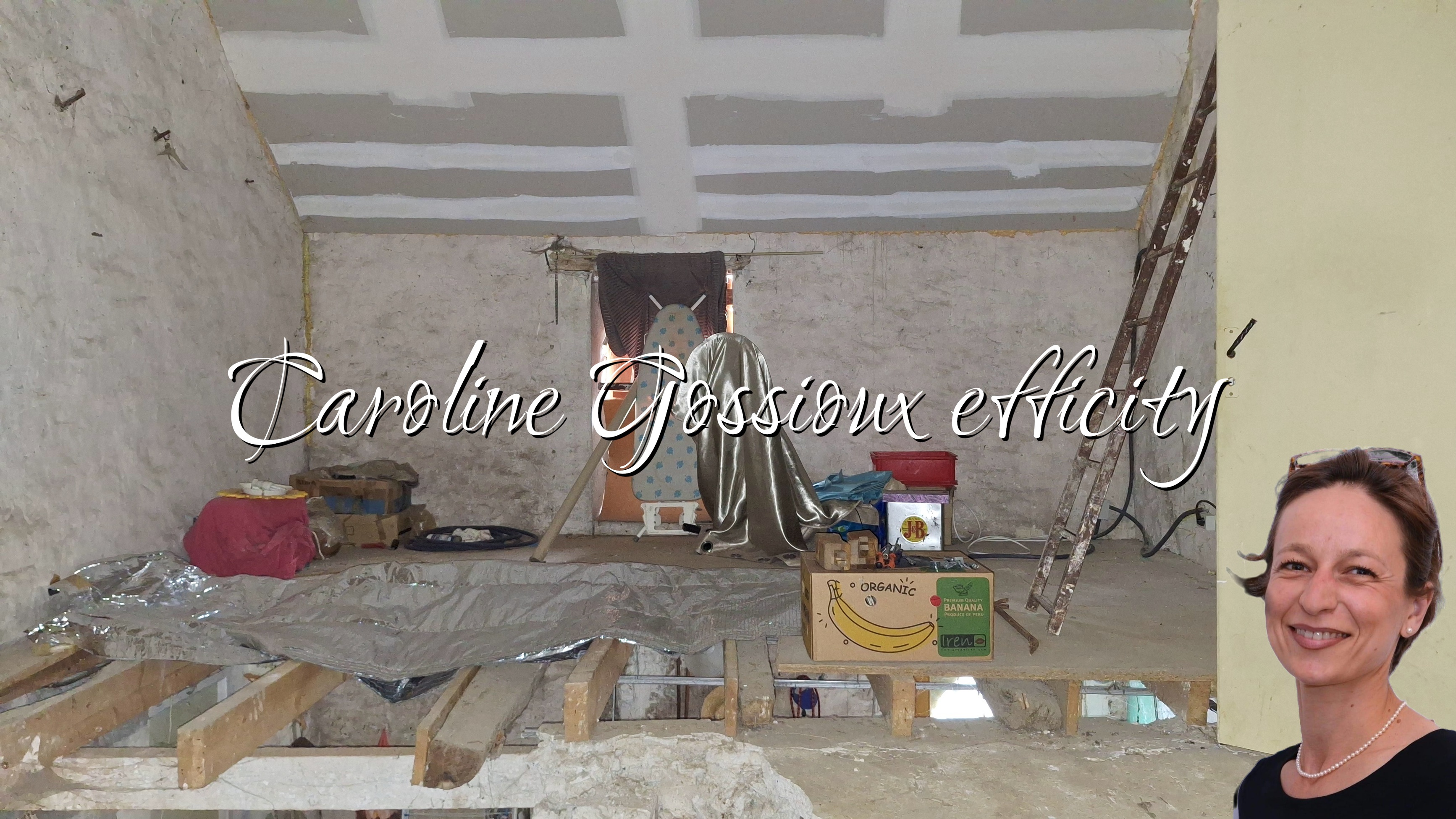 Achat immobilier Maison 3 pièces  53m2 à Chambry (77910) - Photo n°12