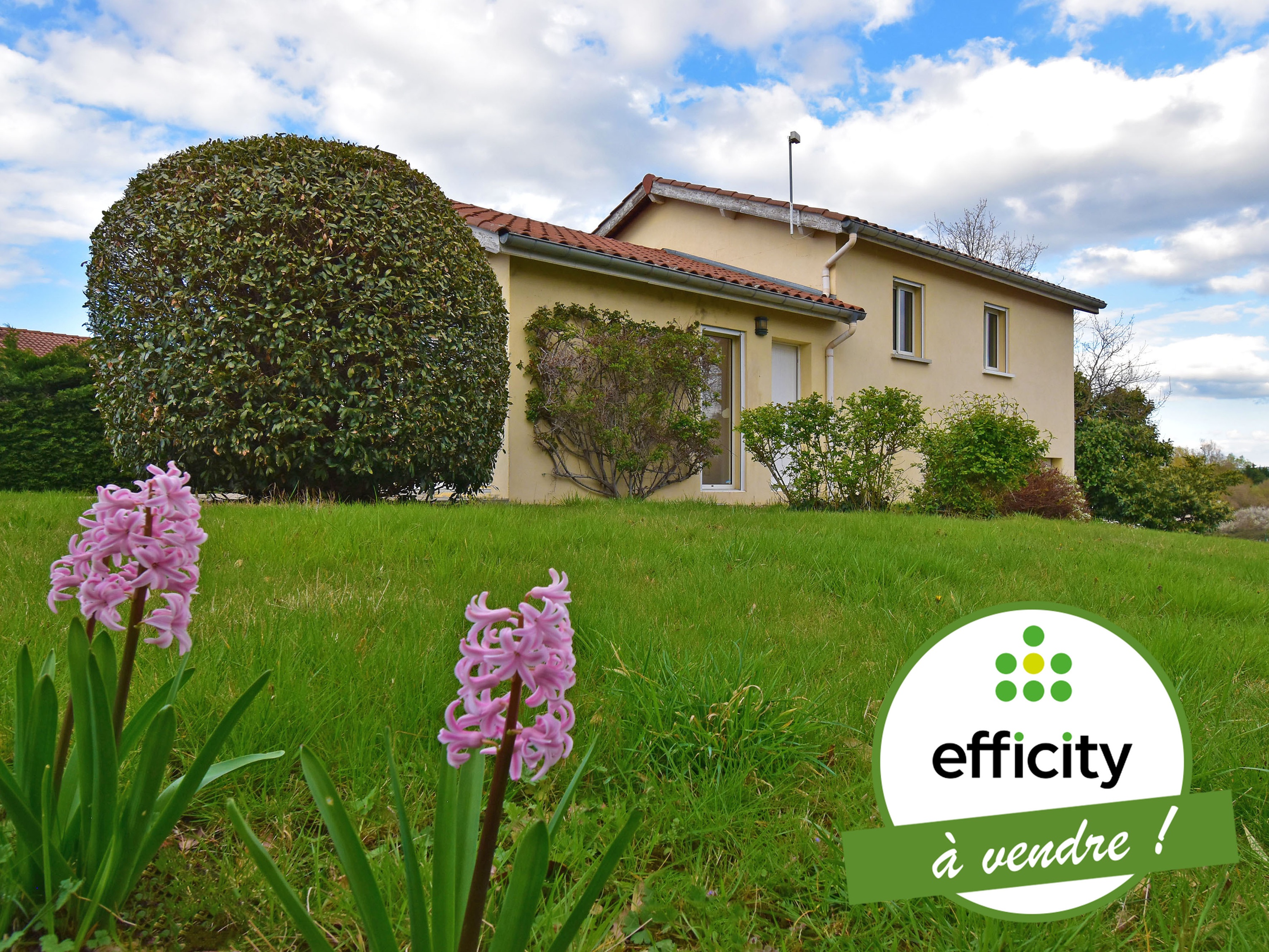 Achat immobilier Maison 5 pièces  94m2 à Saint-Just-Saint-Rambert (42170) - Photo n°1