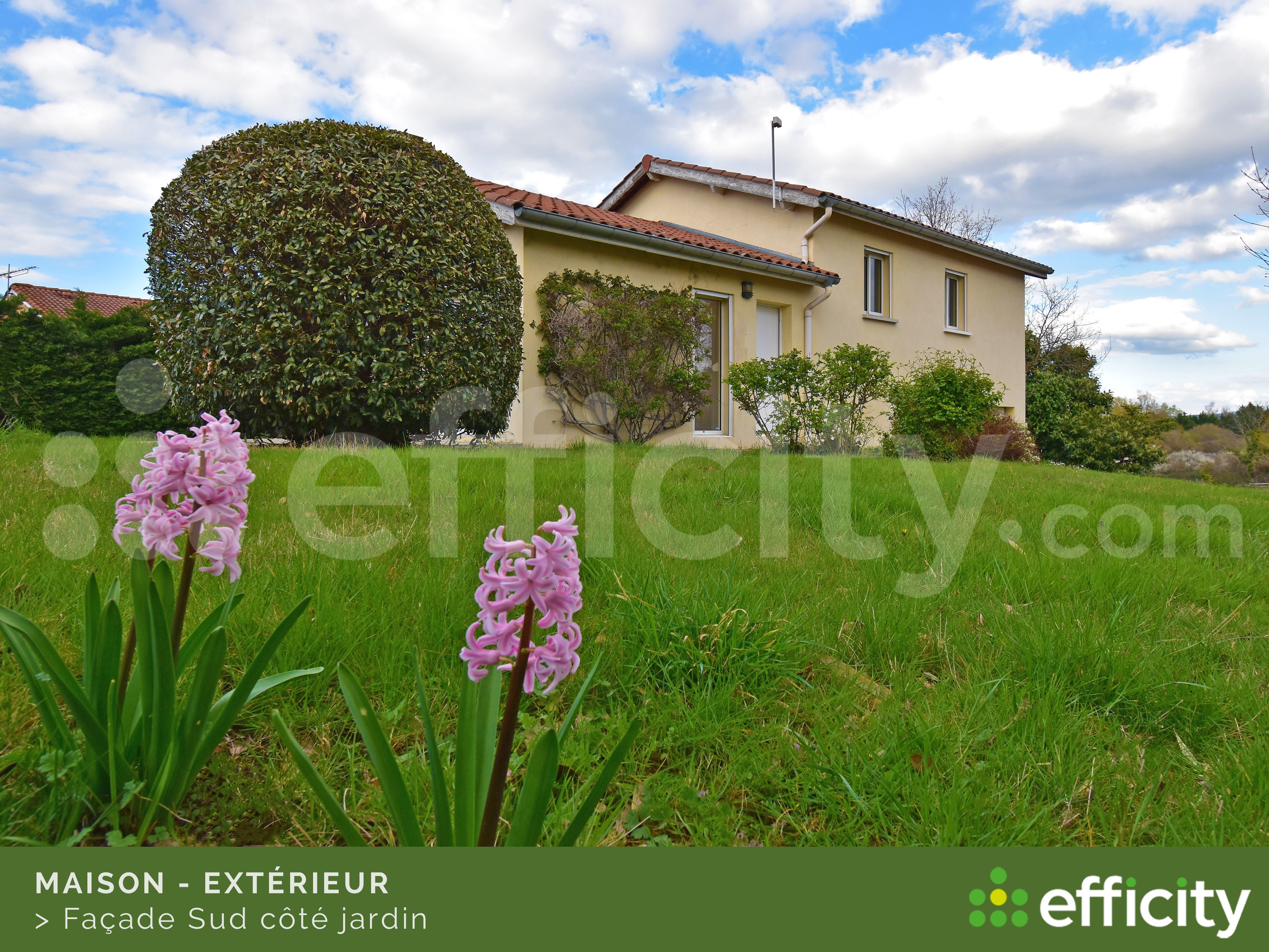 Photo illustration